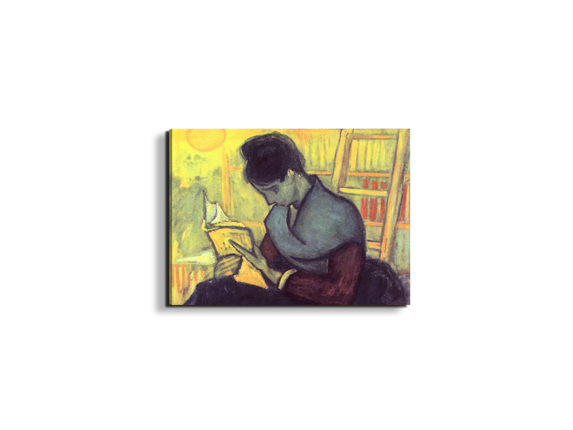 the-novel-reader-as91273-