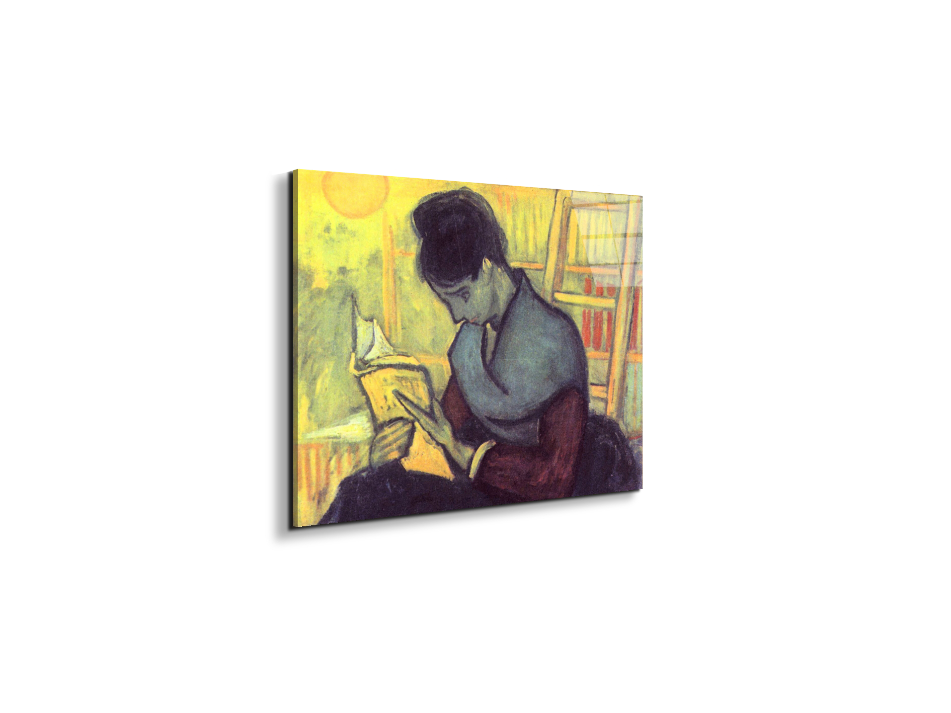 the-novel-reader-as91273-