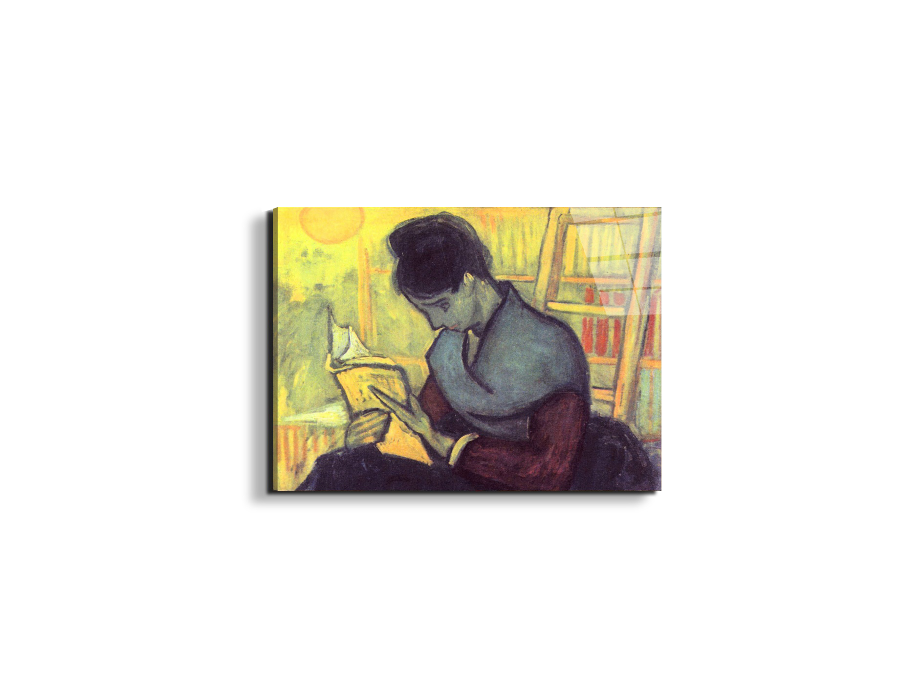 the-novel-reader-as91273-