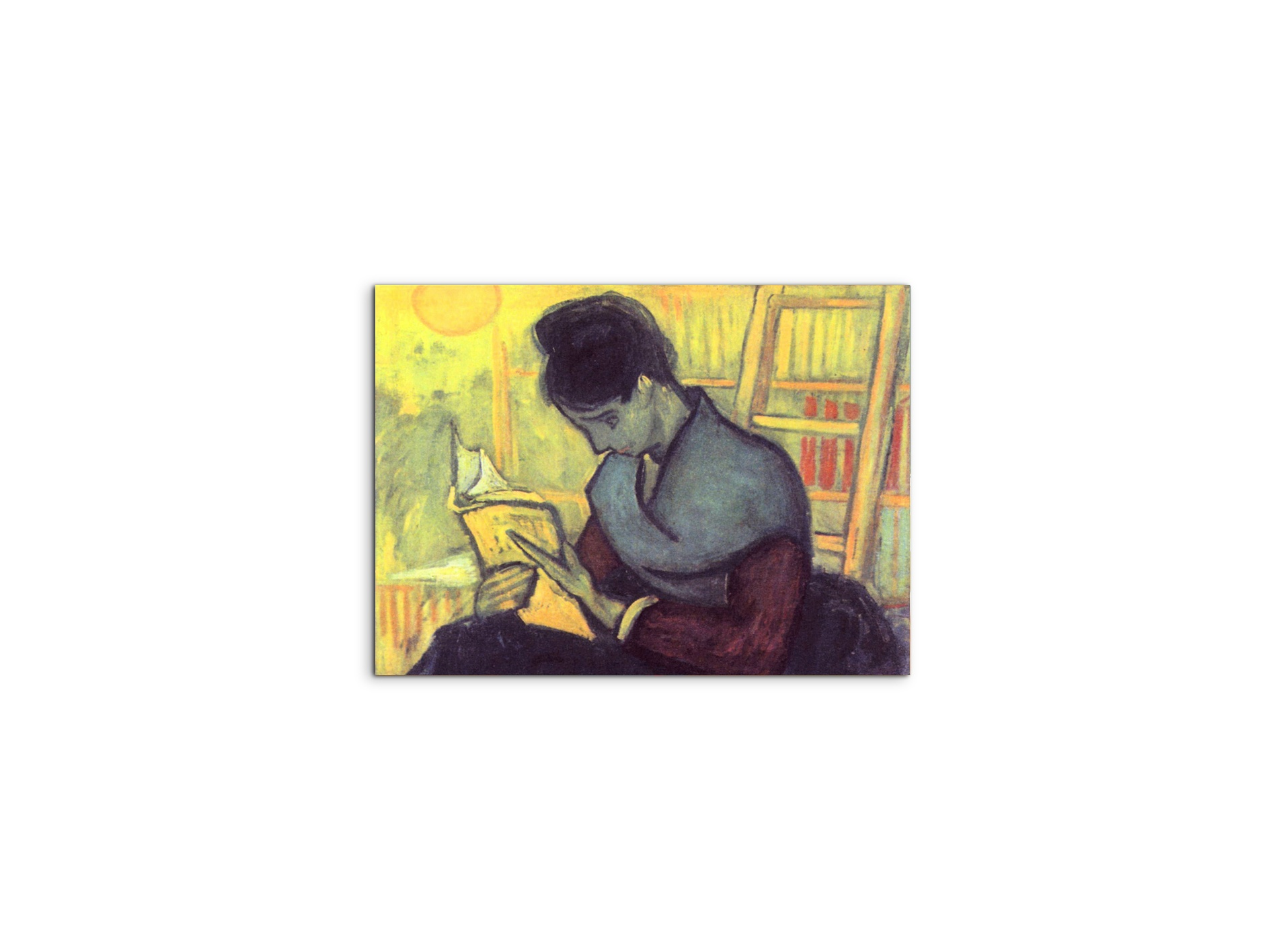 the-novel-reader-as91273-