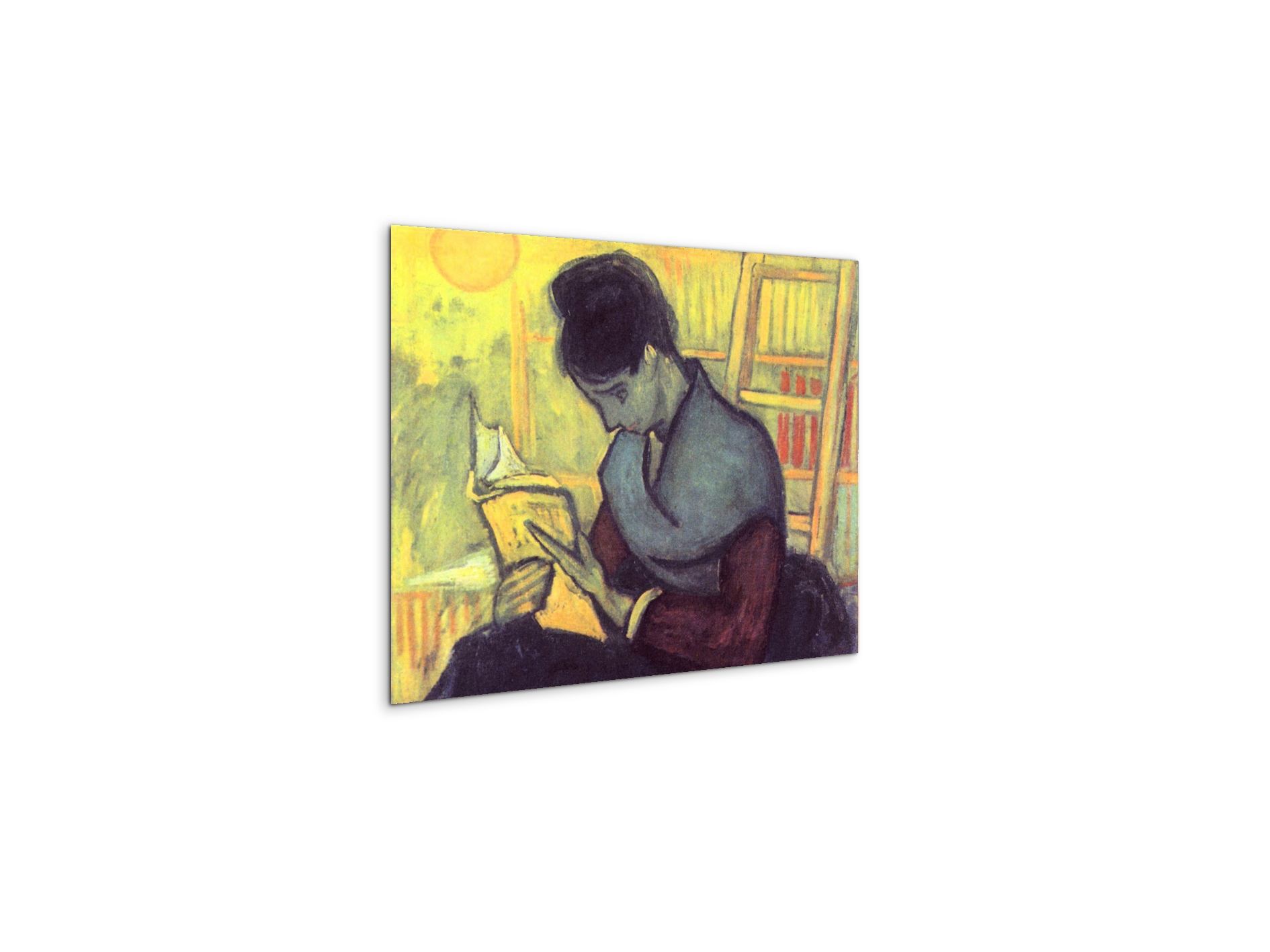 the-novel-reader-as91273-