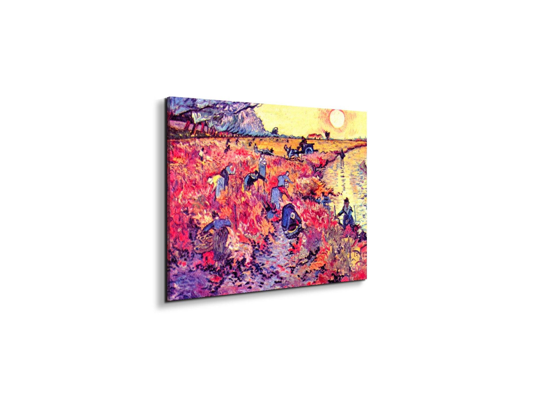 the-red-vinesas91283-