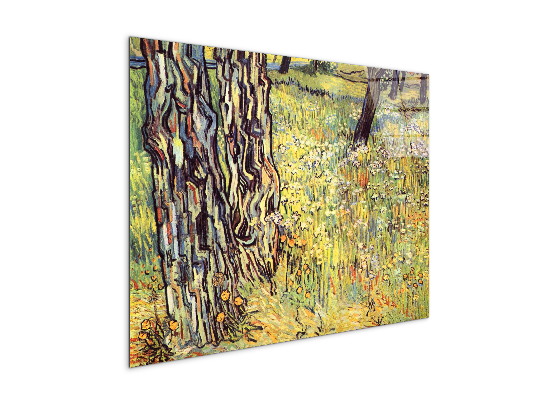 tree-trunksas91299-