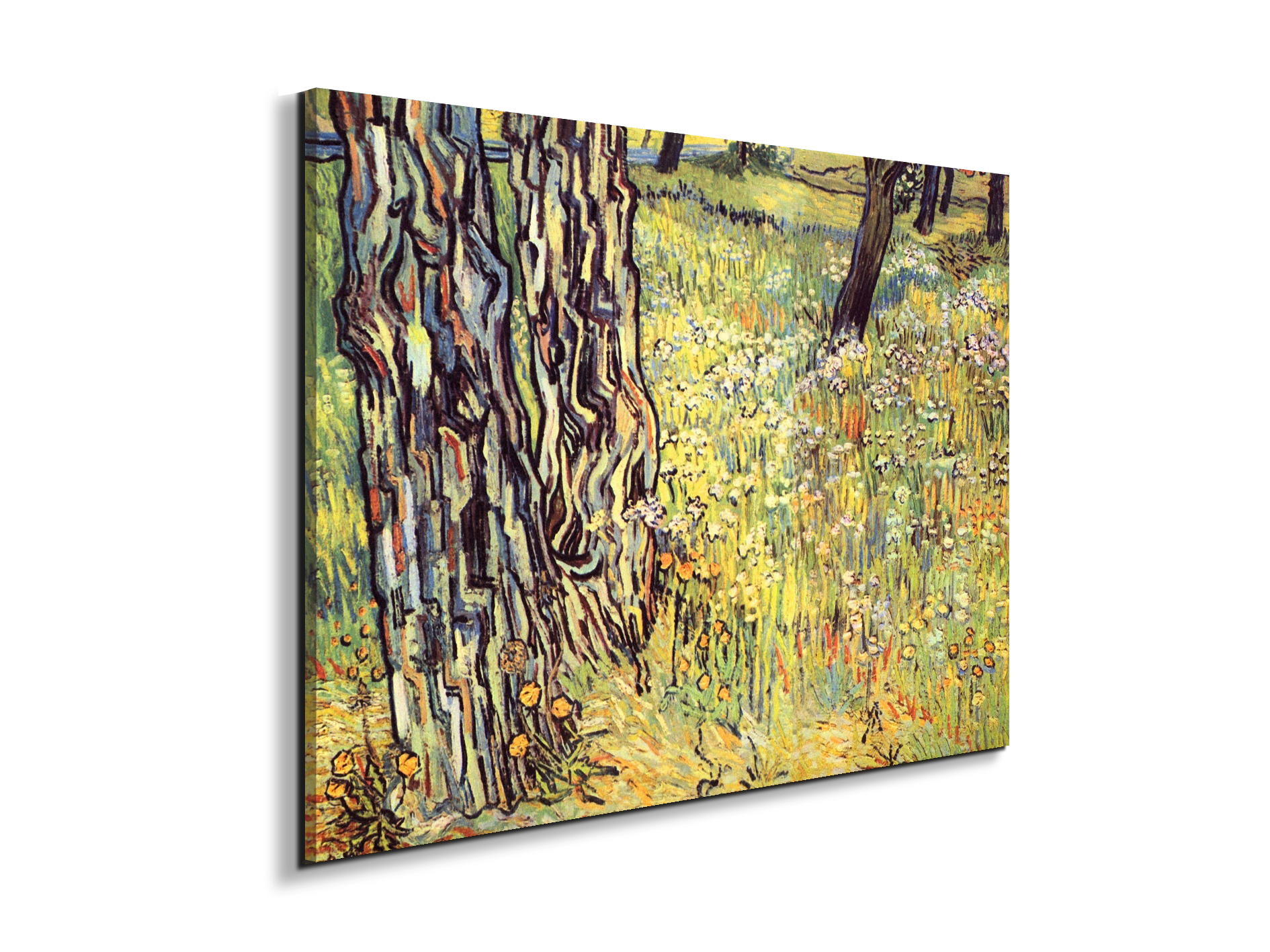 tree-trunksas91299-