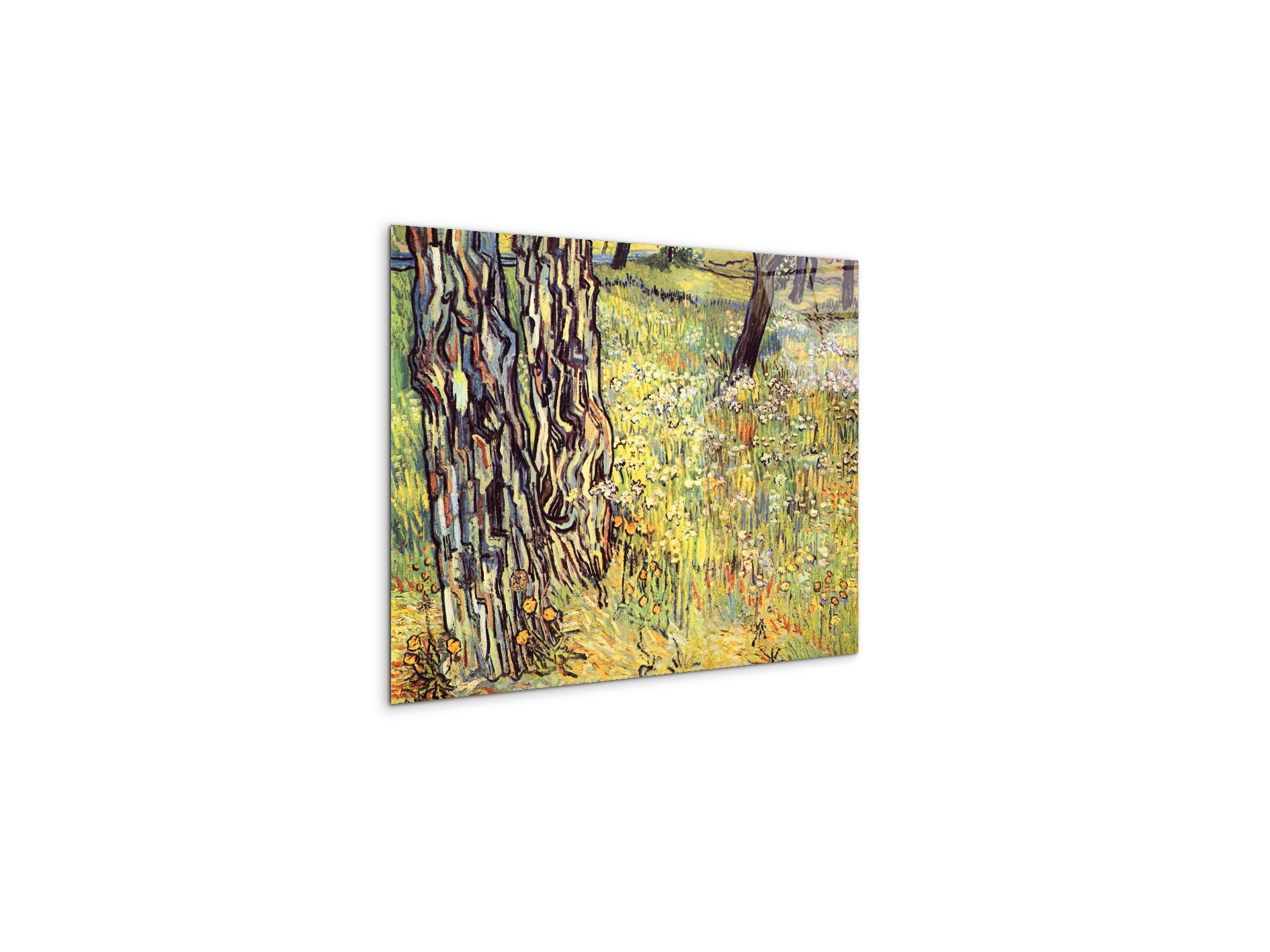 tree-trunksas91299-