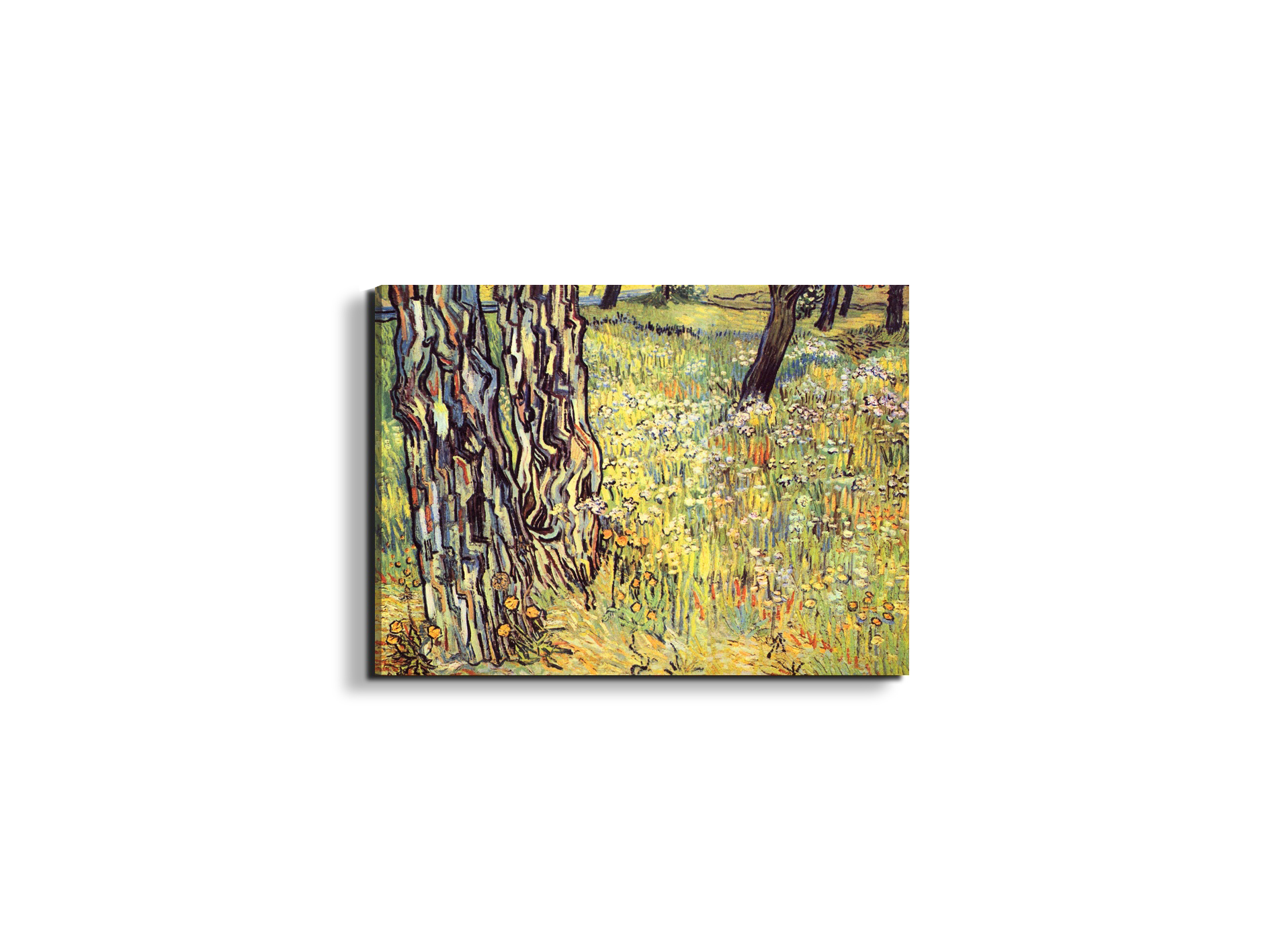 tree-trunksas91299-