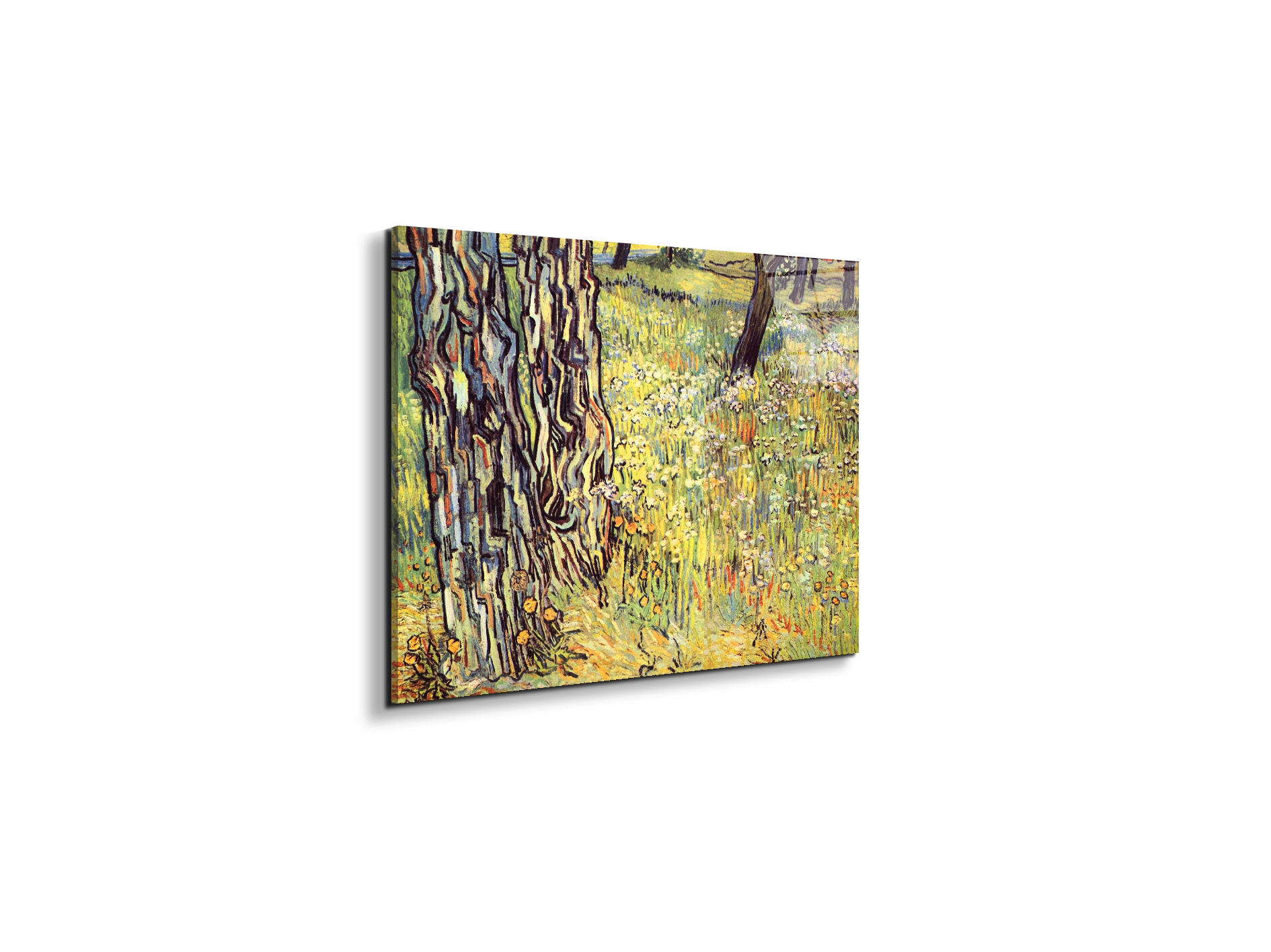 tree-trunksas91299-