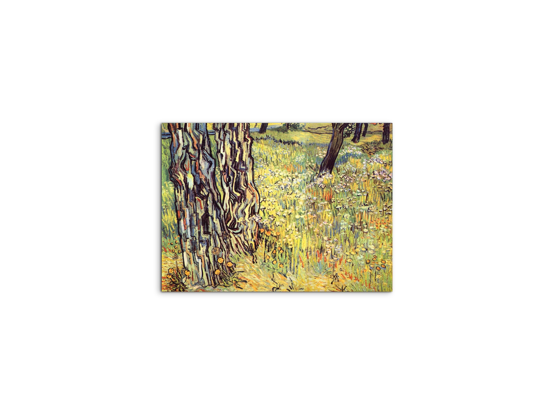 tree-trunksas91299-