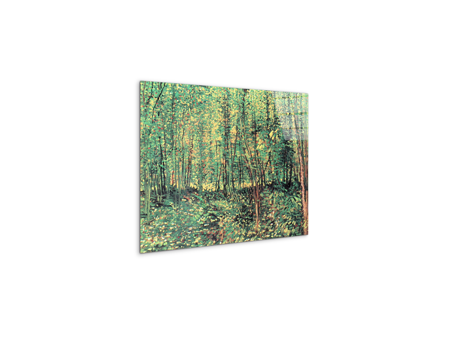 trees-and-undergrowthas91301-