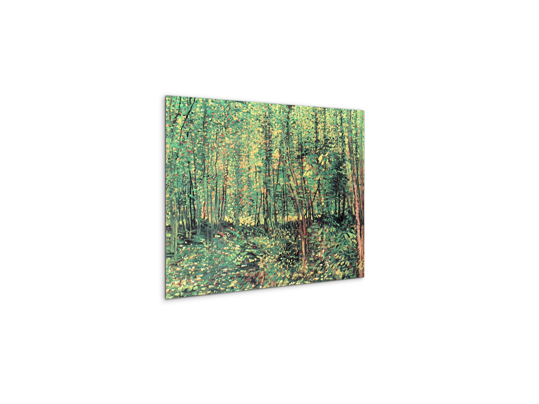 trees-and-undergrowthas91301-