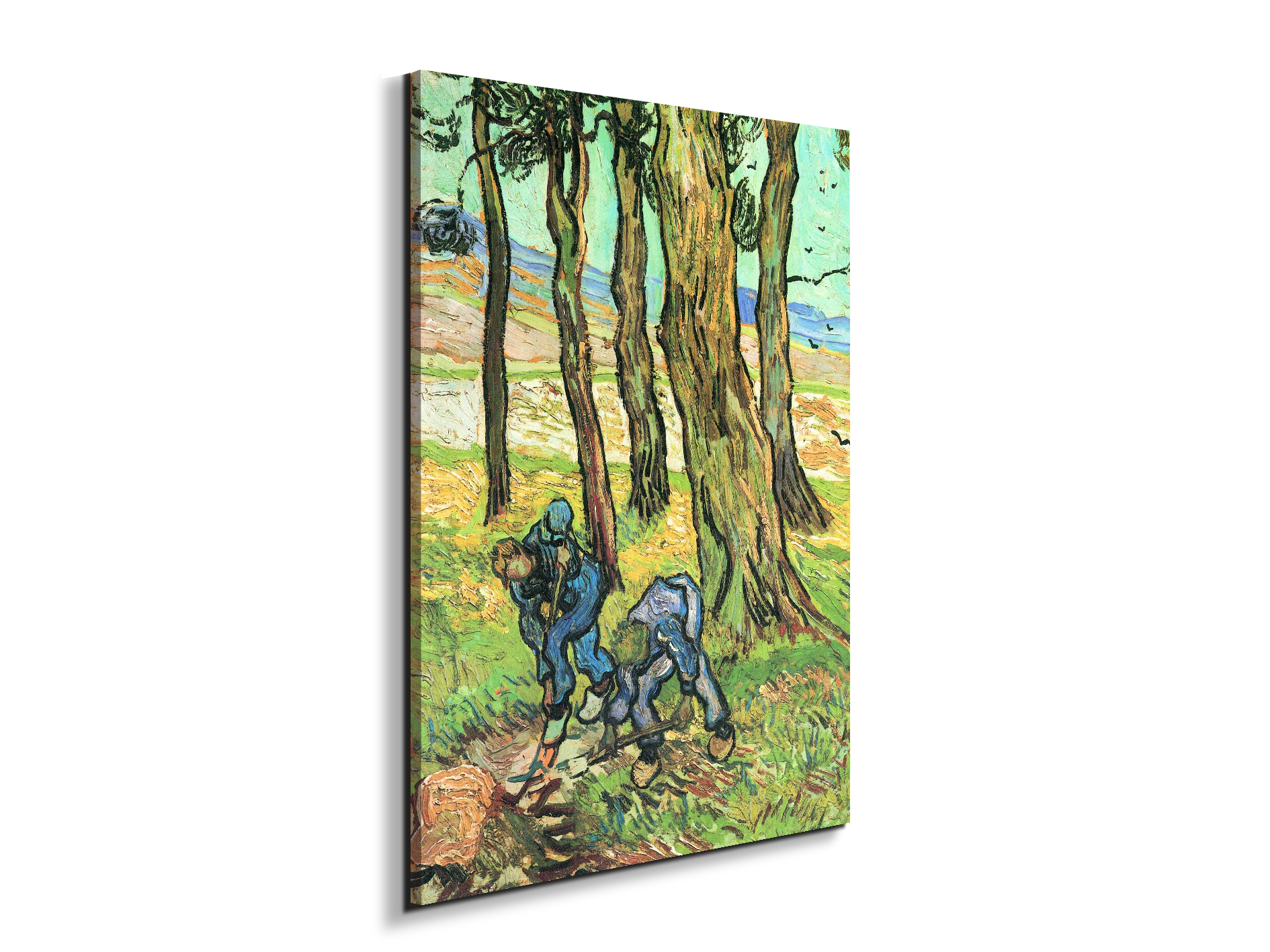 two-men-in-digging-out-a-tree-stumpas91317-