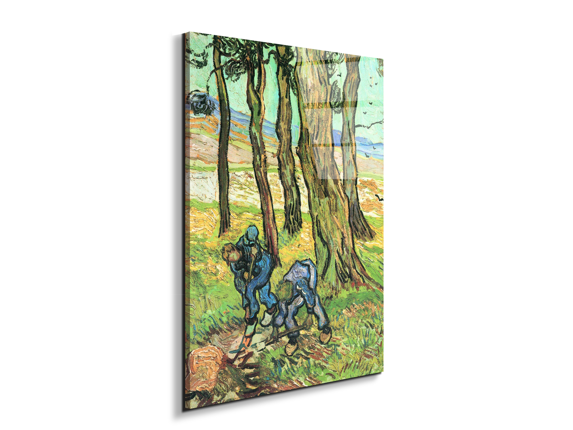 two-men-in-digging-out-a-tree-stumpas91317-