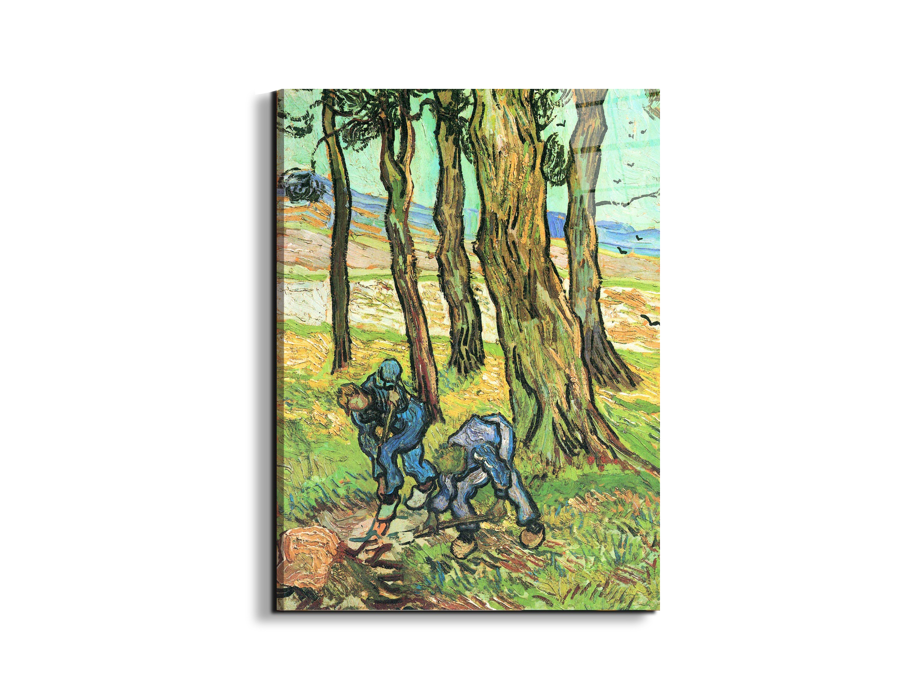 two-men-in-digging-out-a-tree-stumpas91317-