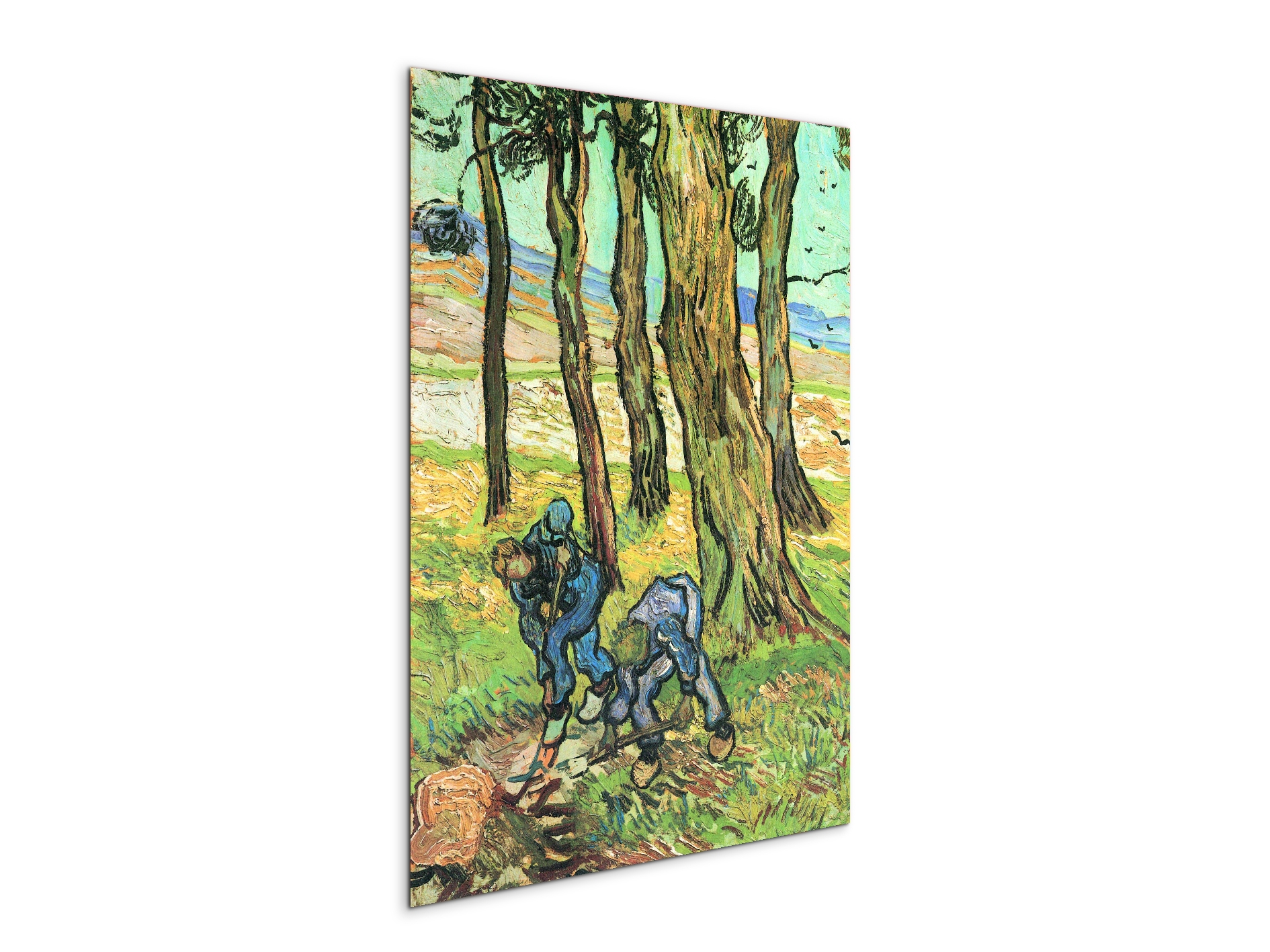 two-men-in-digging-out-a-tree-stumpas91317-