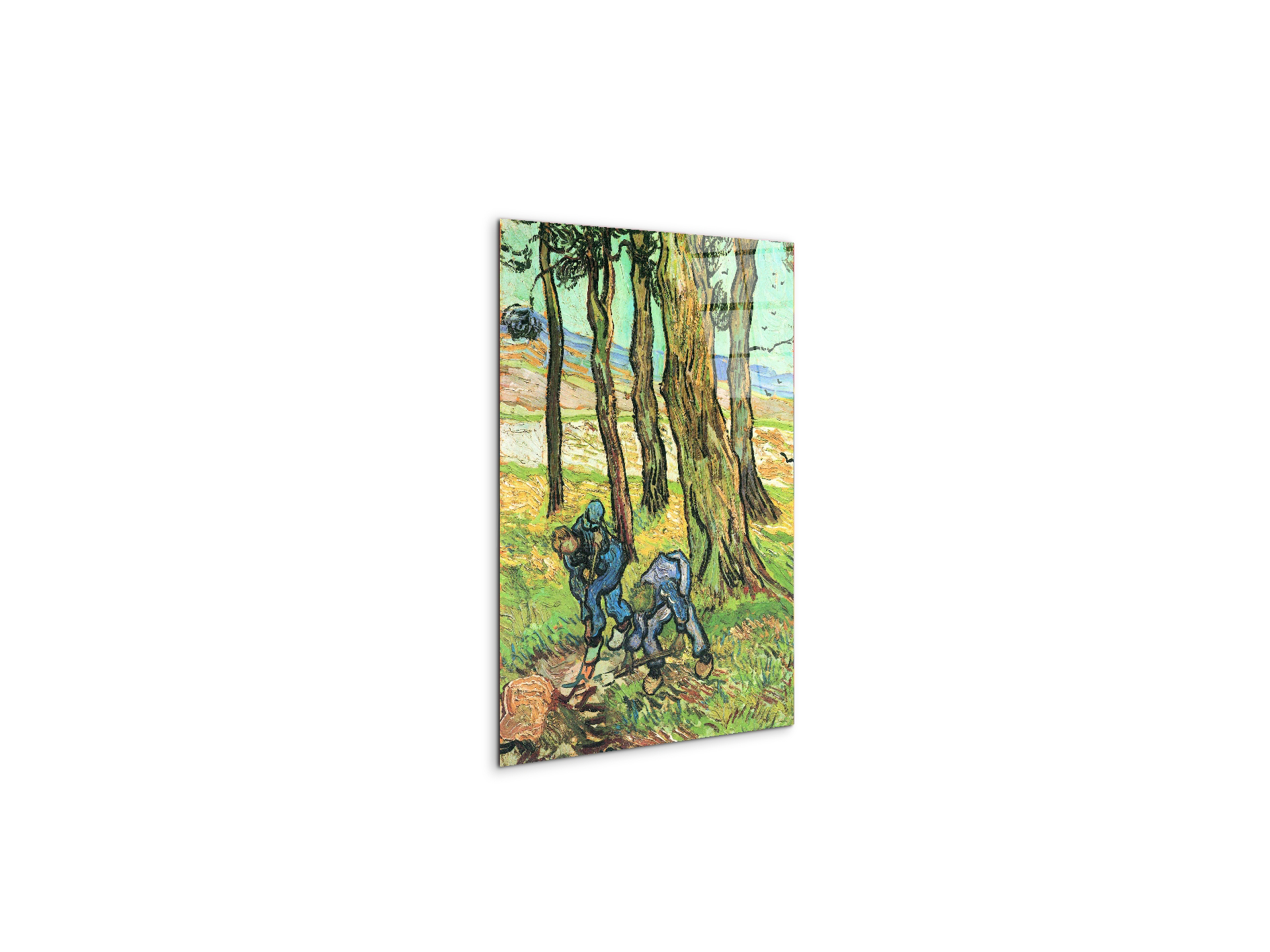 two-men-in-digging-out-a-tree-stumpas91317-