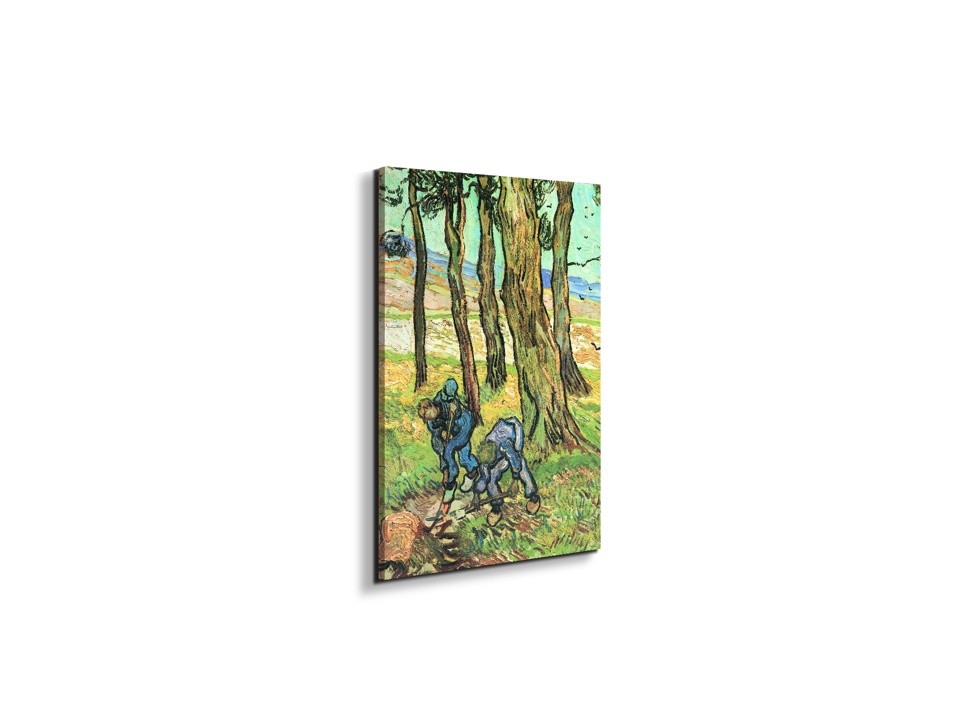 two-men-in-digging-out-a-tree-stumpas91317-