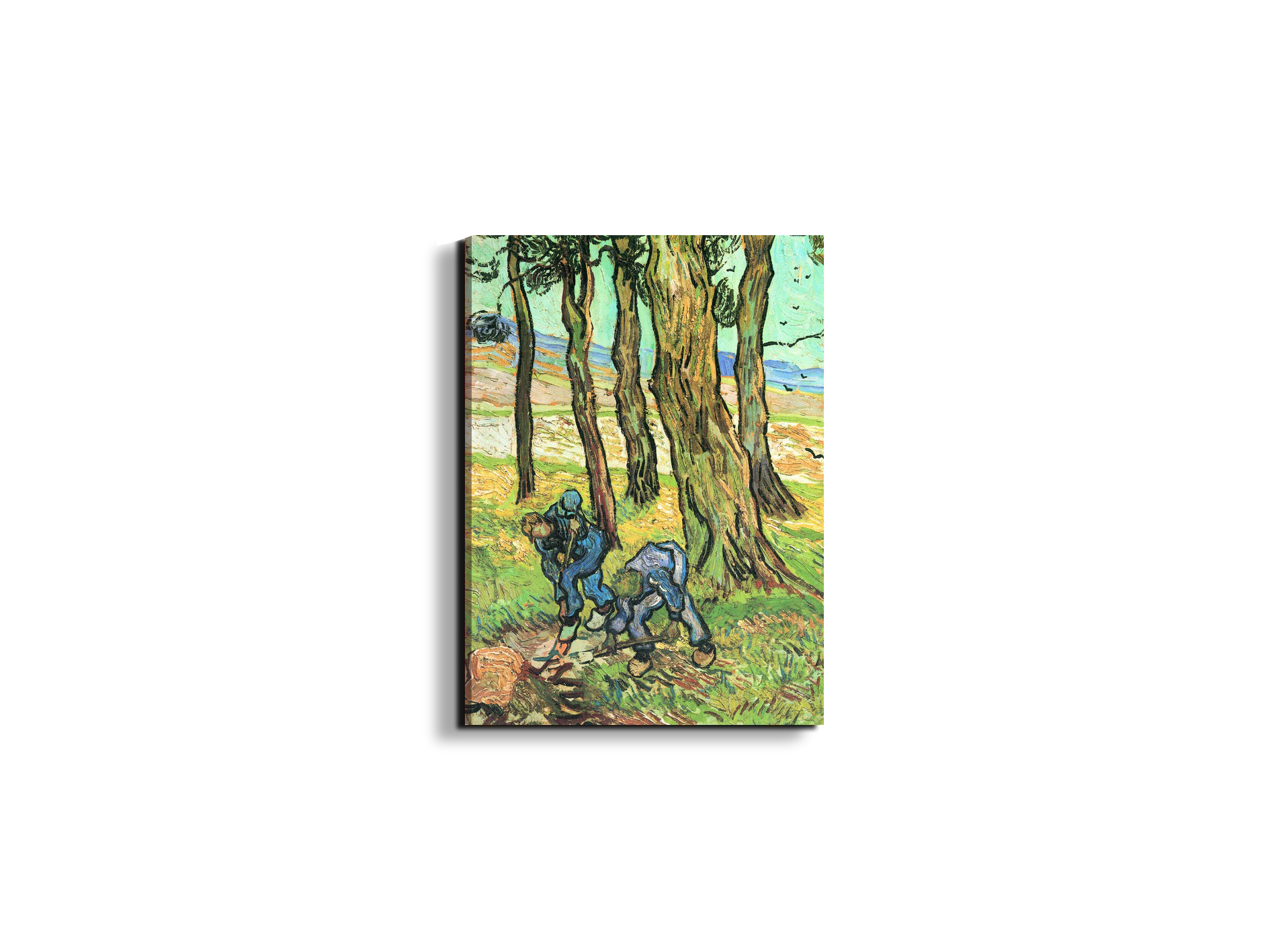 two-men-in-digging-out-a-tree-stumpas91317-