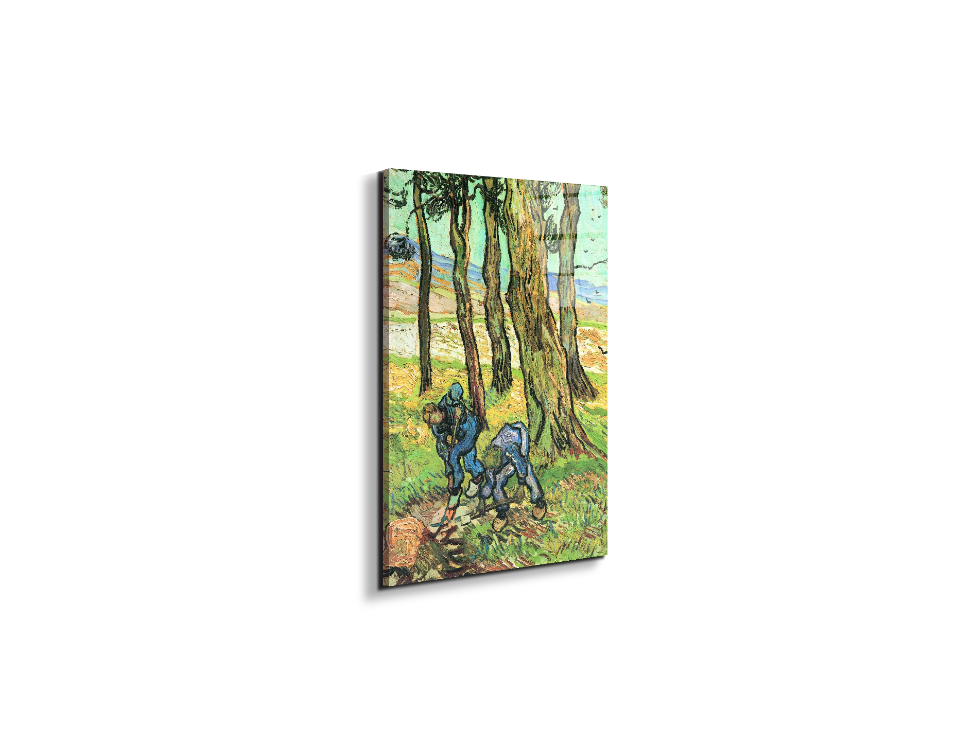 two-men-in-digging-out-a-tree-stumpas91317-