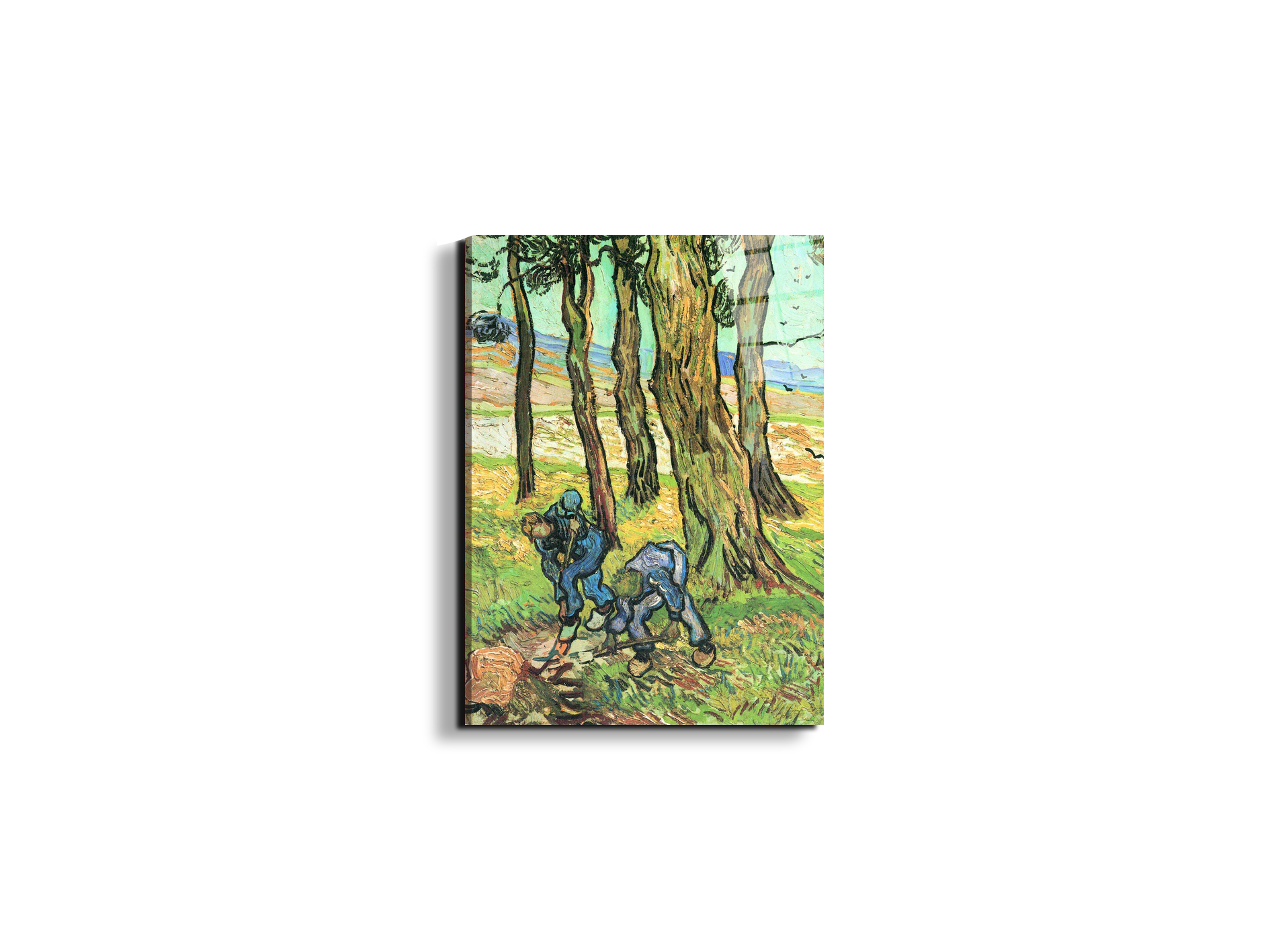 two-men-in-digging-out-a-tree-stumpas91317-