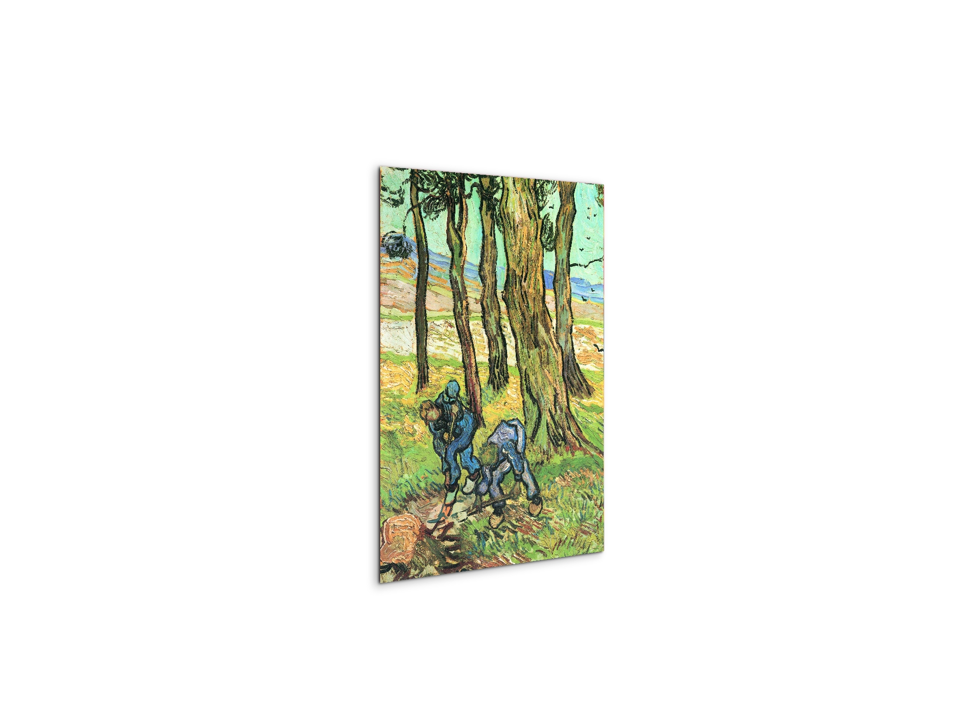 two-men-in-digging-out-a-tree-stumpas91317-