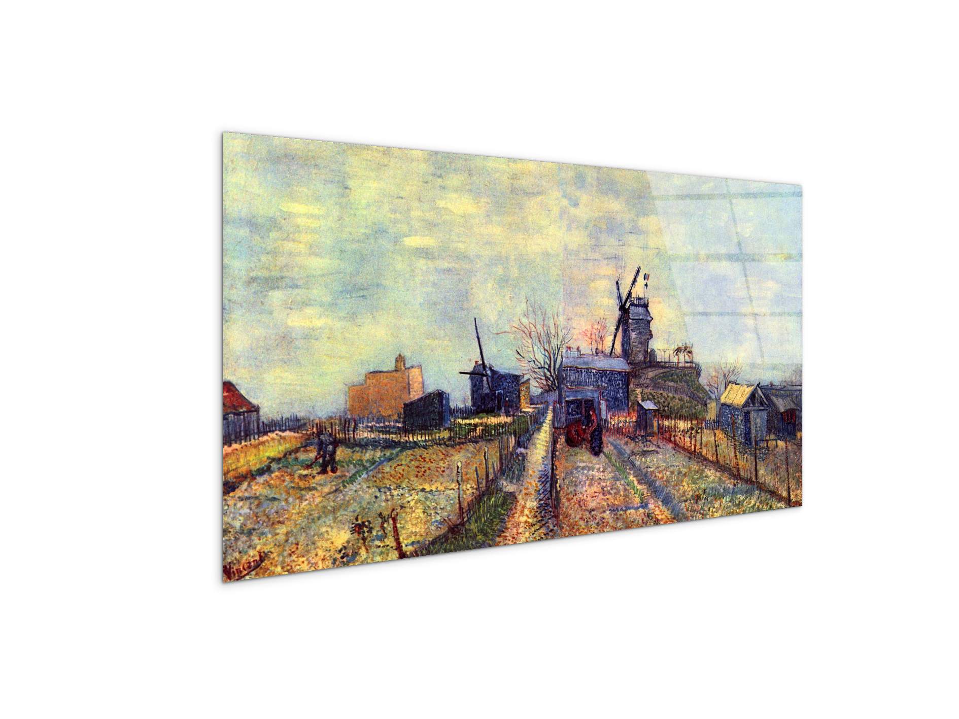 vegetable-gardens-on-the-montmartre-as91331-