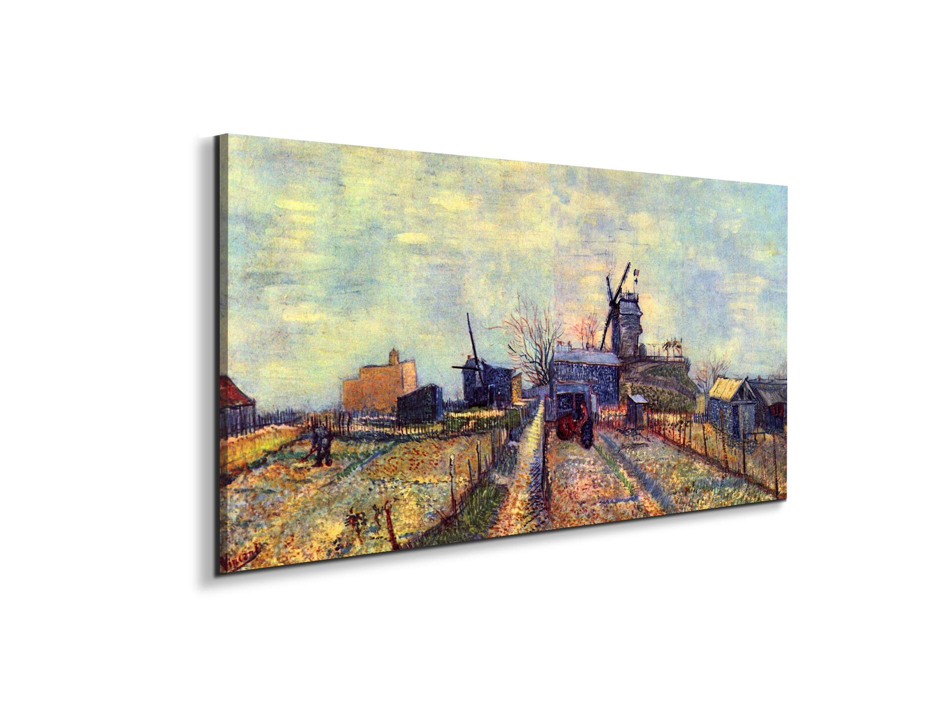 vegetable-gardens-on-the-montmartre-as91331-