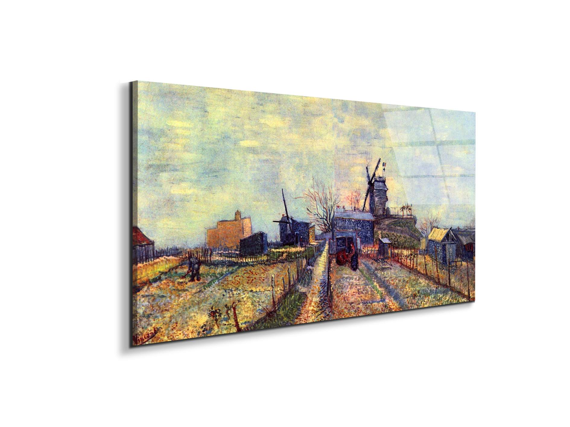 vegetable-gardens-on-the-montmartre-as91331-