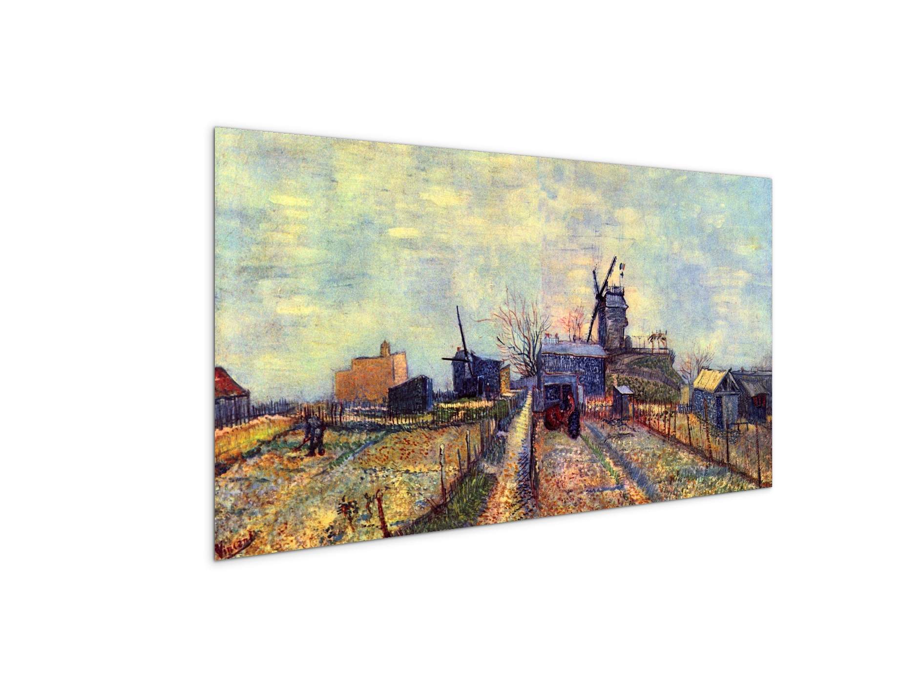 vegetable-gardens-on-the-montmartre-as91331-