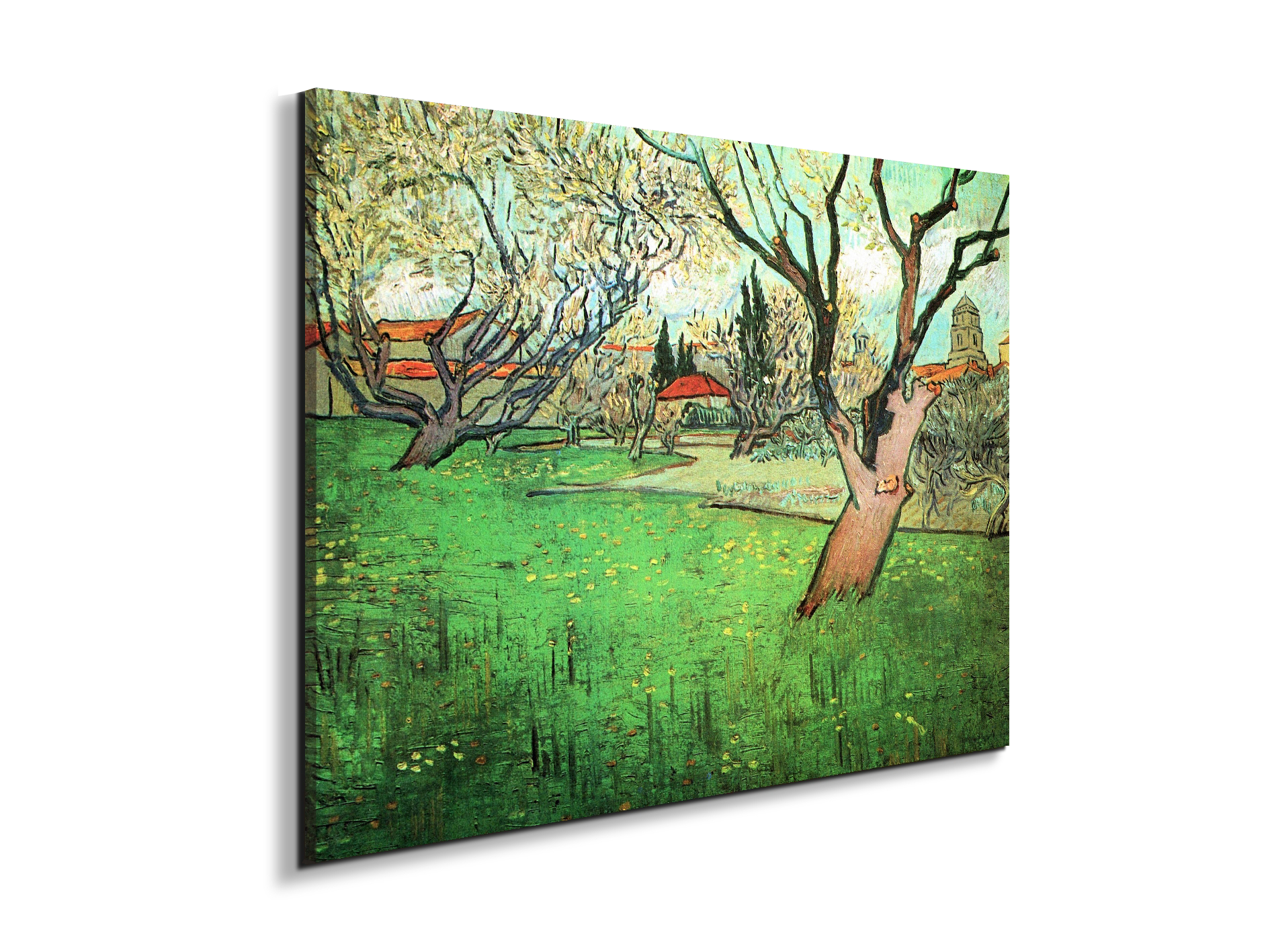 view-of-arles-with-flowering-treeas91339-