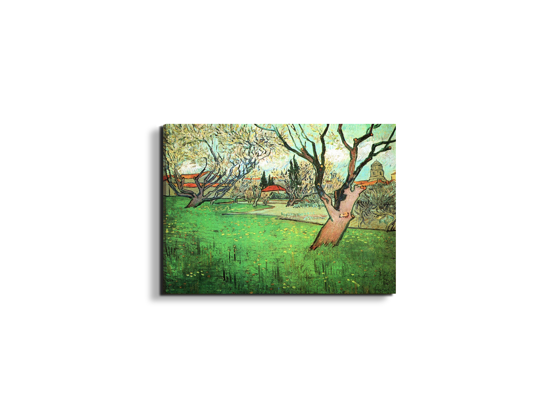 view-of-arles-with-flowering-treeas91339-