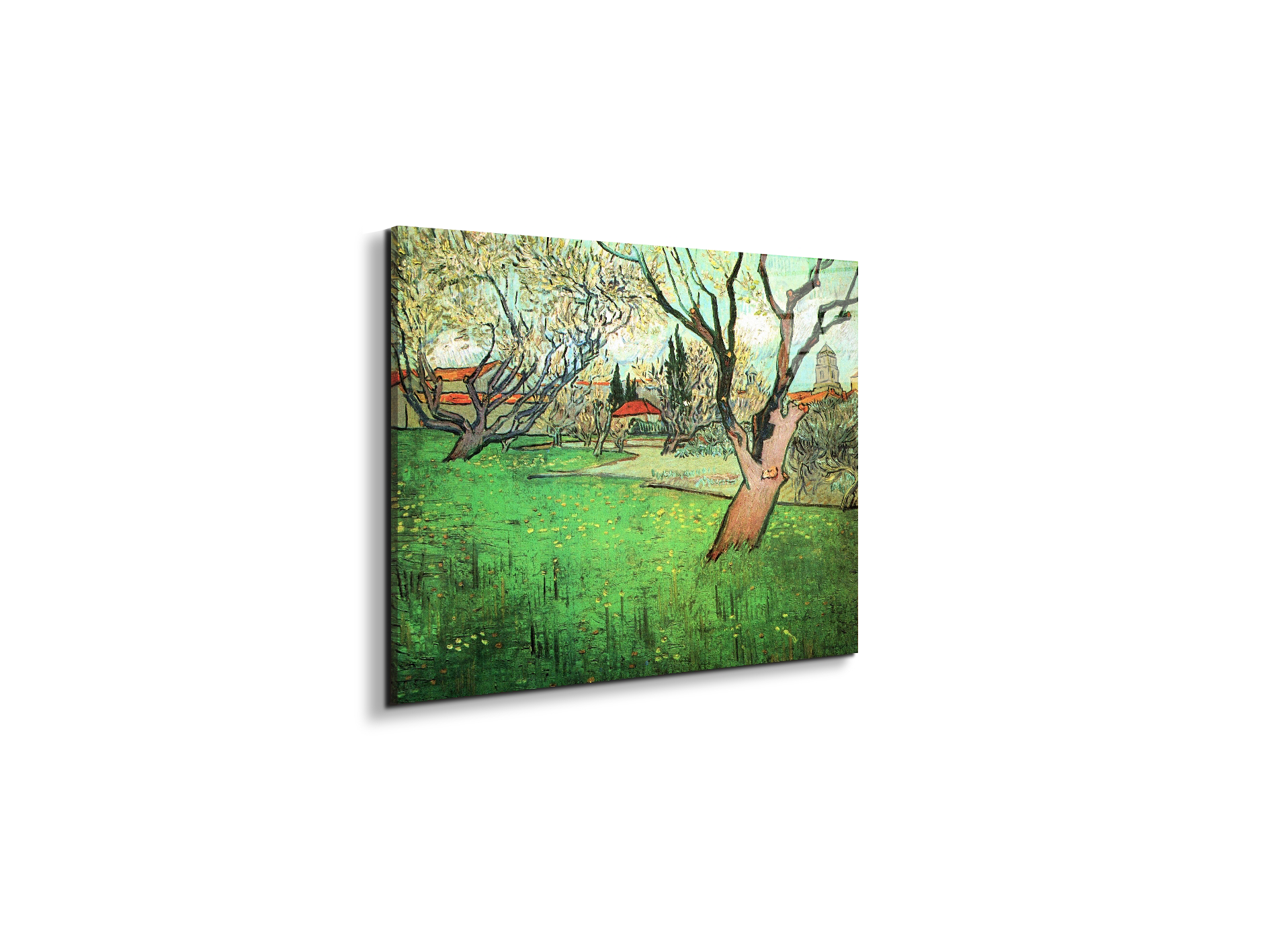 view-of-arles-with-flowering-treeas91339-