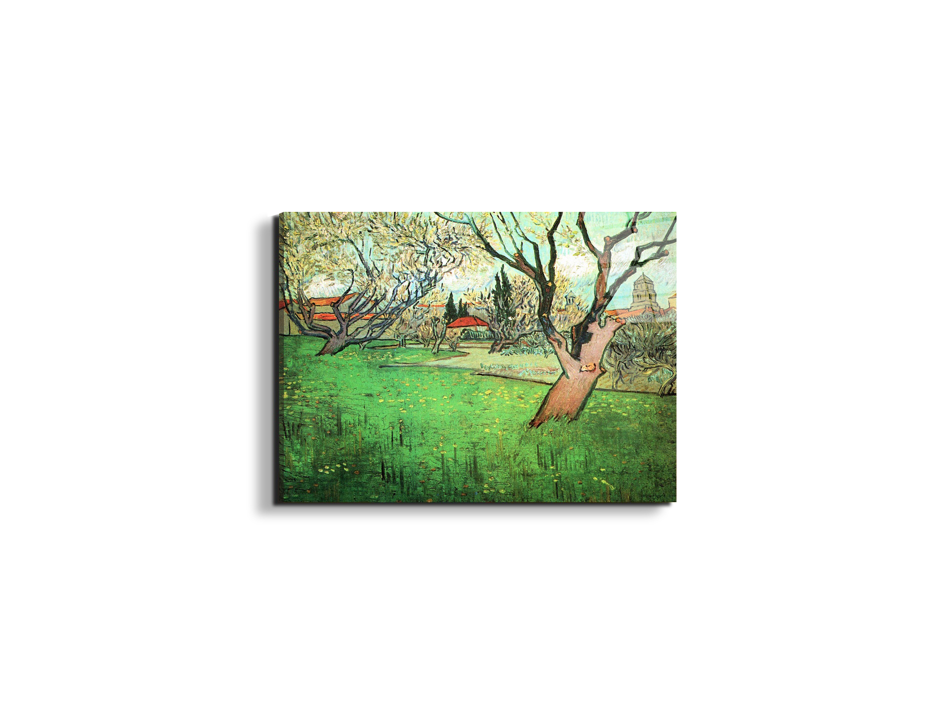 view-of-arles-with-flowering-treeas91339-
