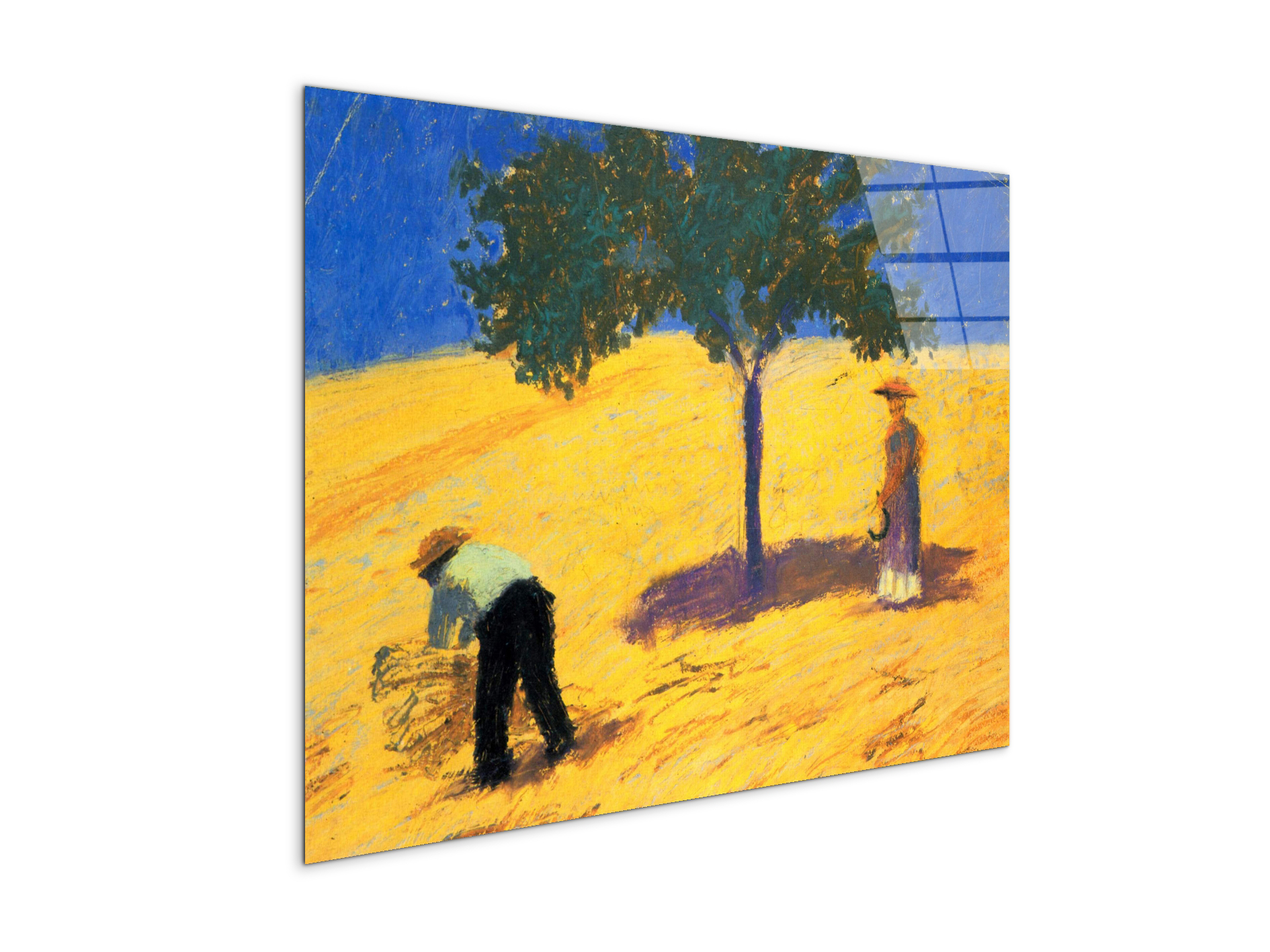 tree-in-cornfeld-as91423-