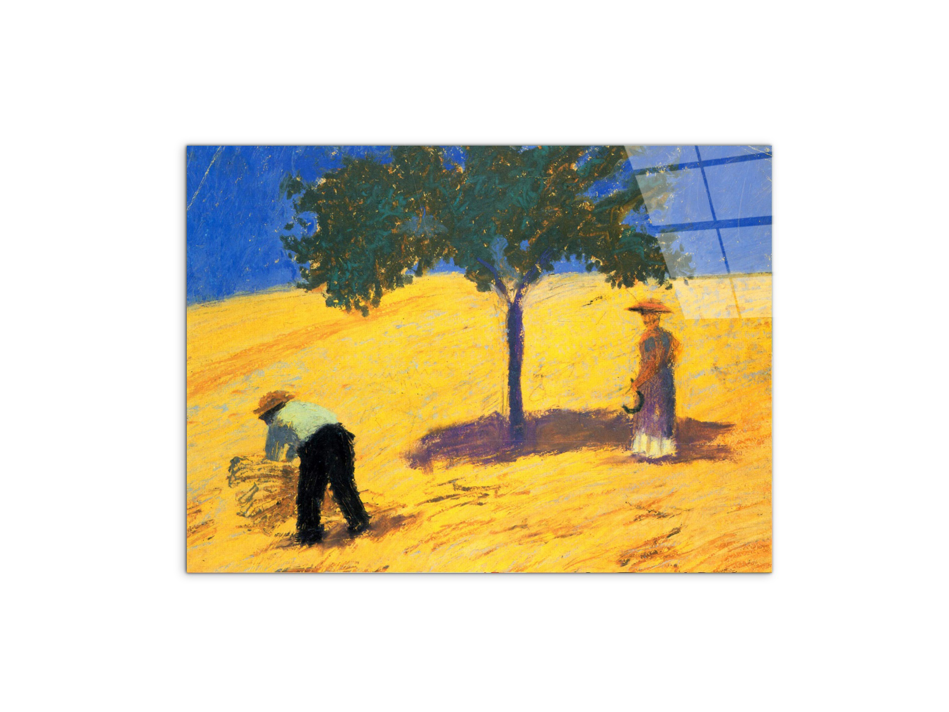 tree-in-cornfeld-as91423-