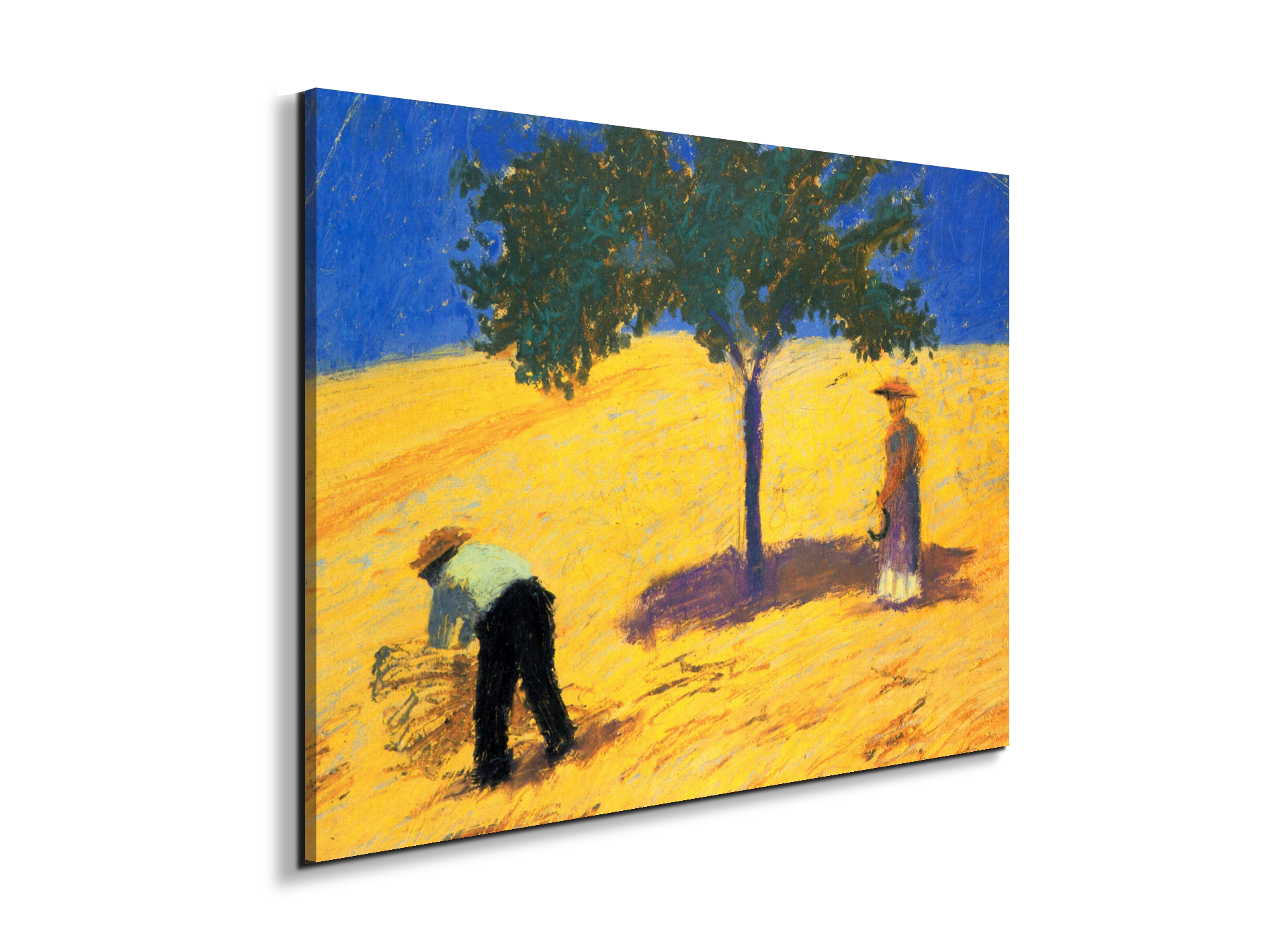 tree-in-cornfeld-as91423-