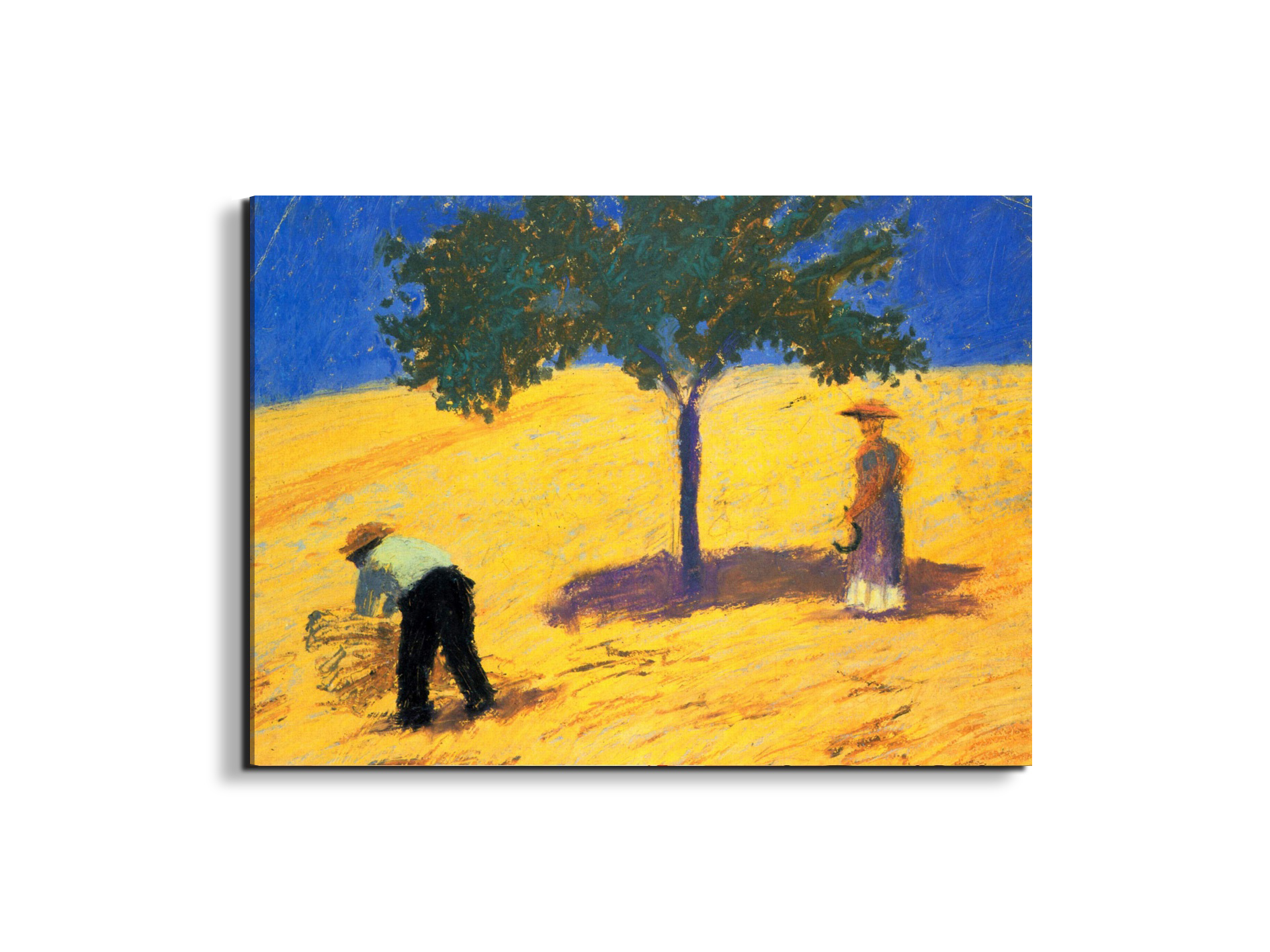 tree-in-cornfeld-as91423-