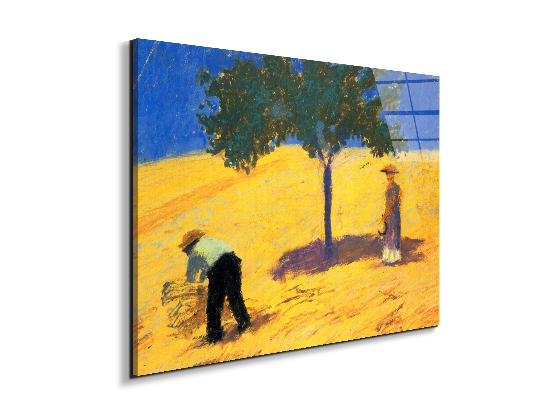 tree-in-cornfeld-as91423-