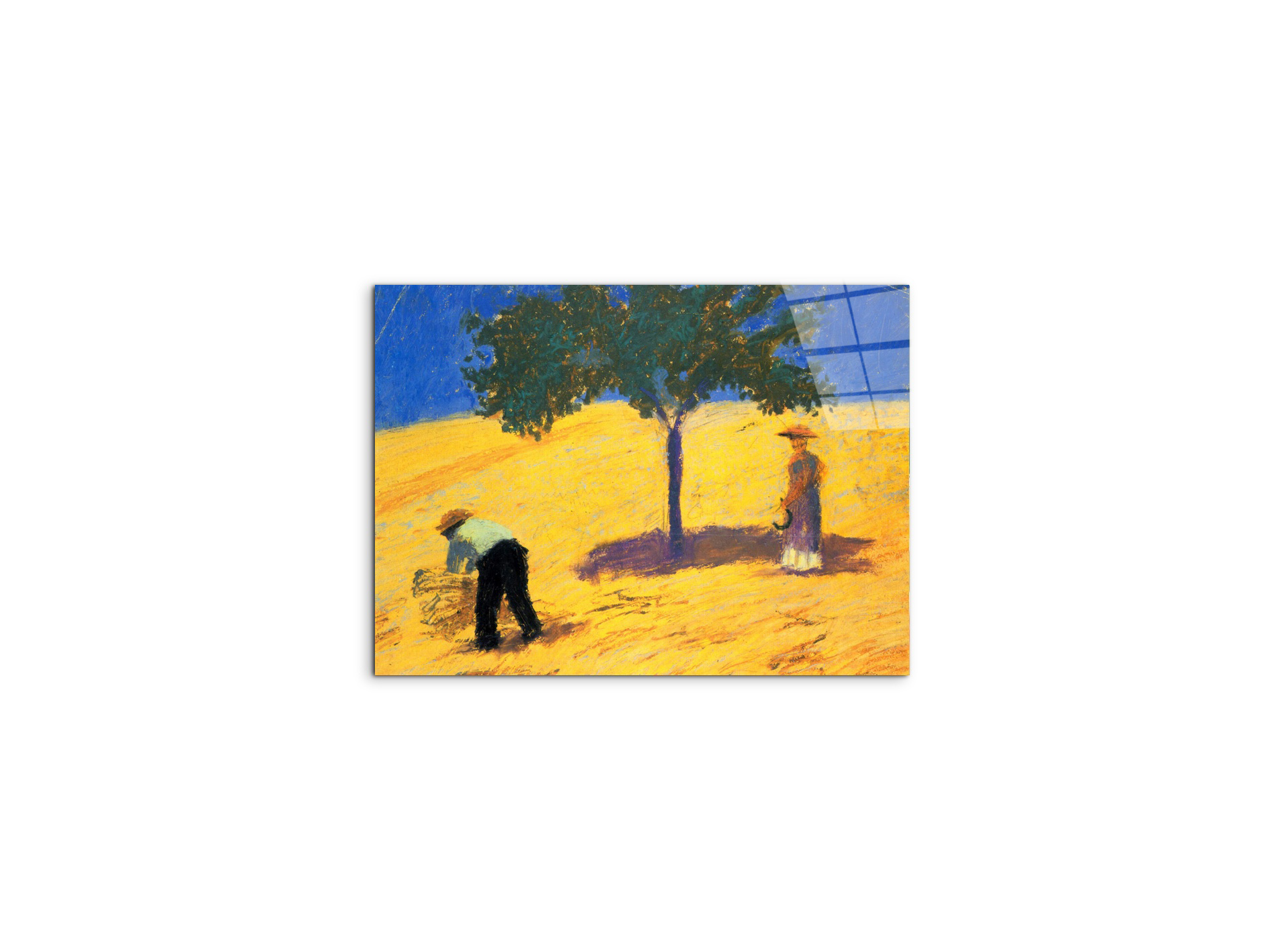 tree-in-cornfeld-as91423-