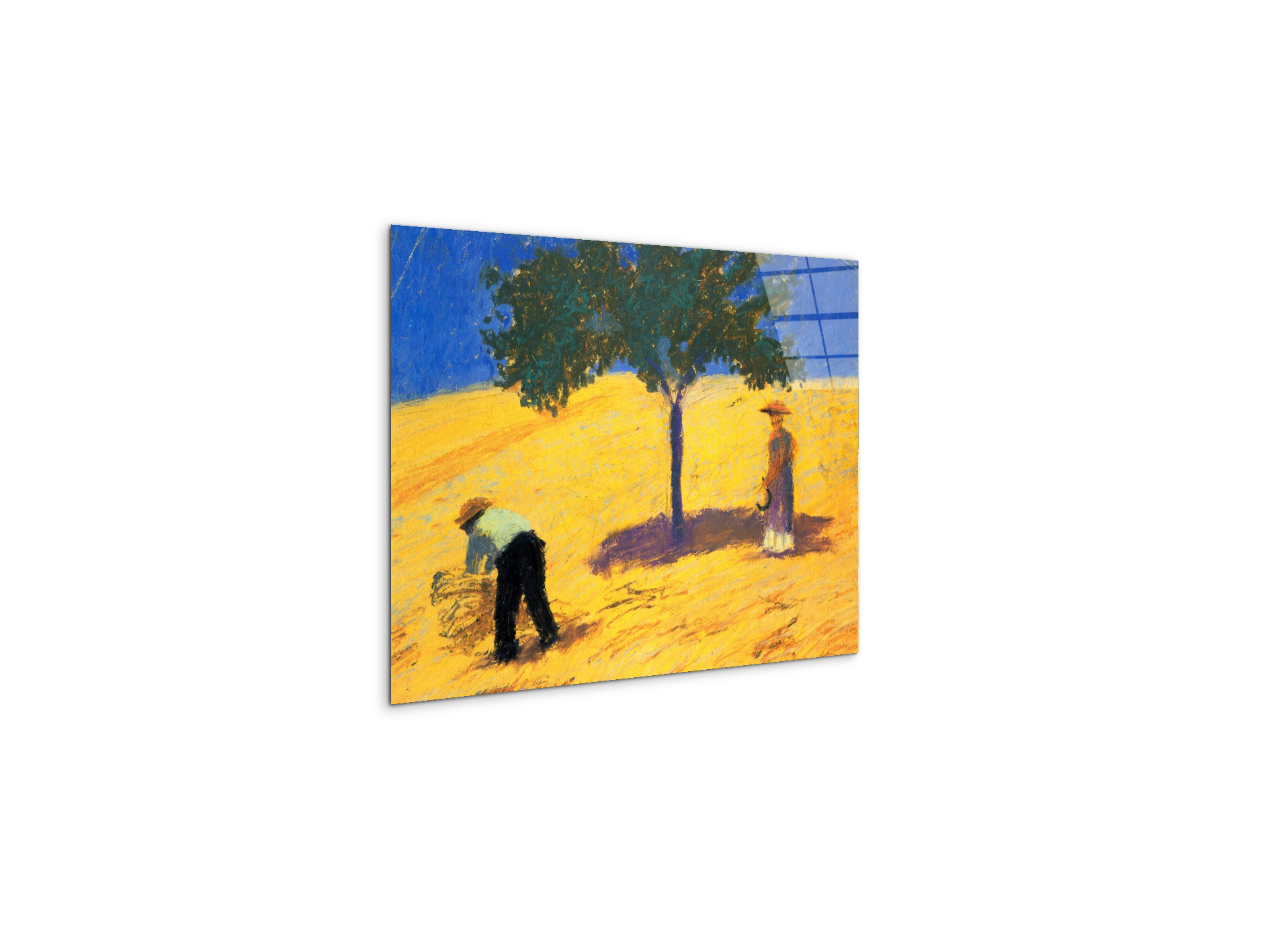tree-in-cornfeld-as91423-