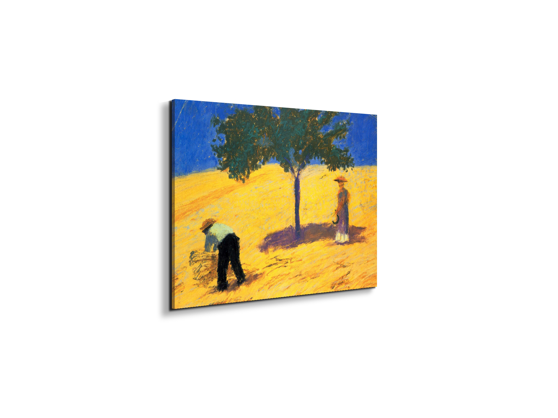 tree-in-cornfeld-as91423-