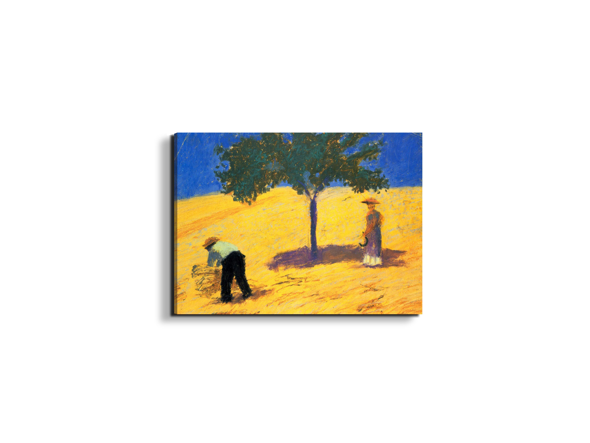 tree-in-cornfeld-as91423-