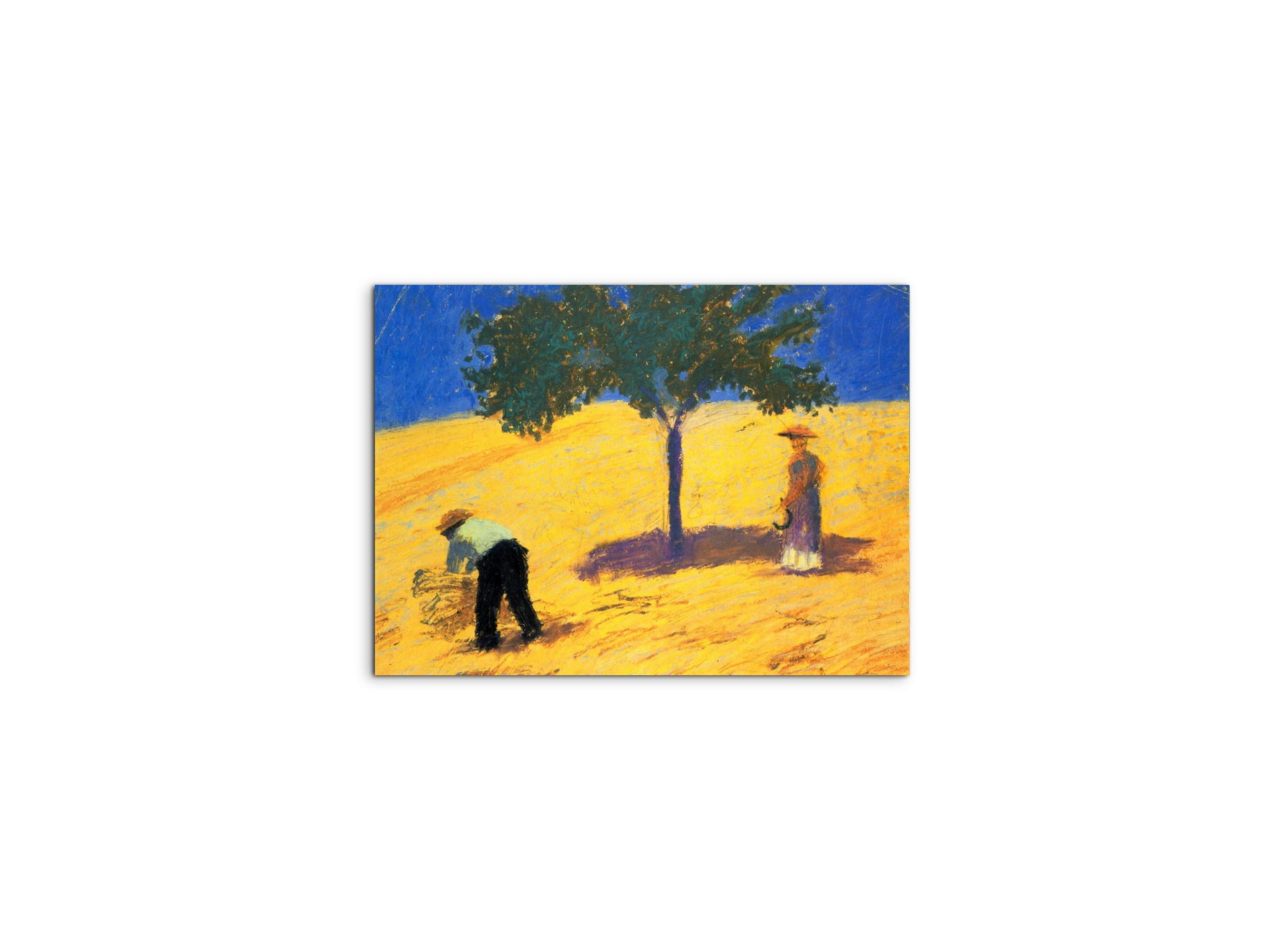tree-in-cornfeld-as91423-