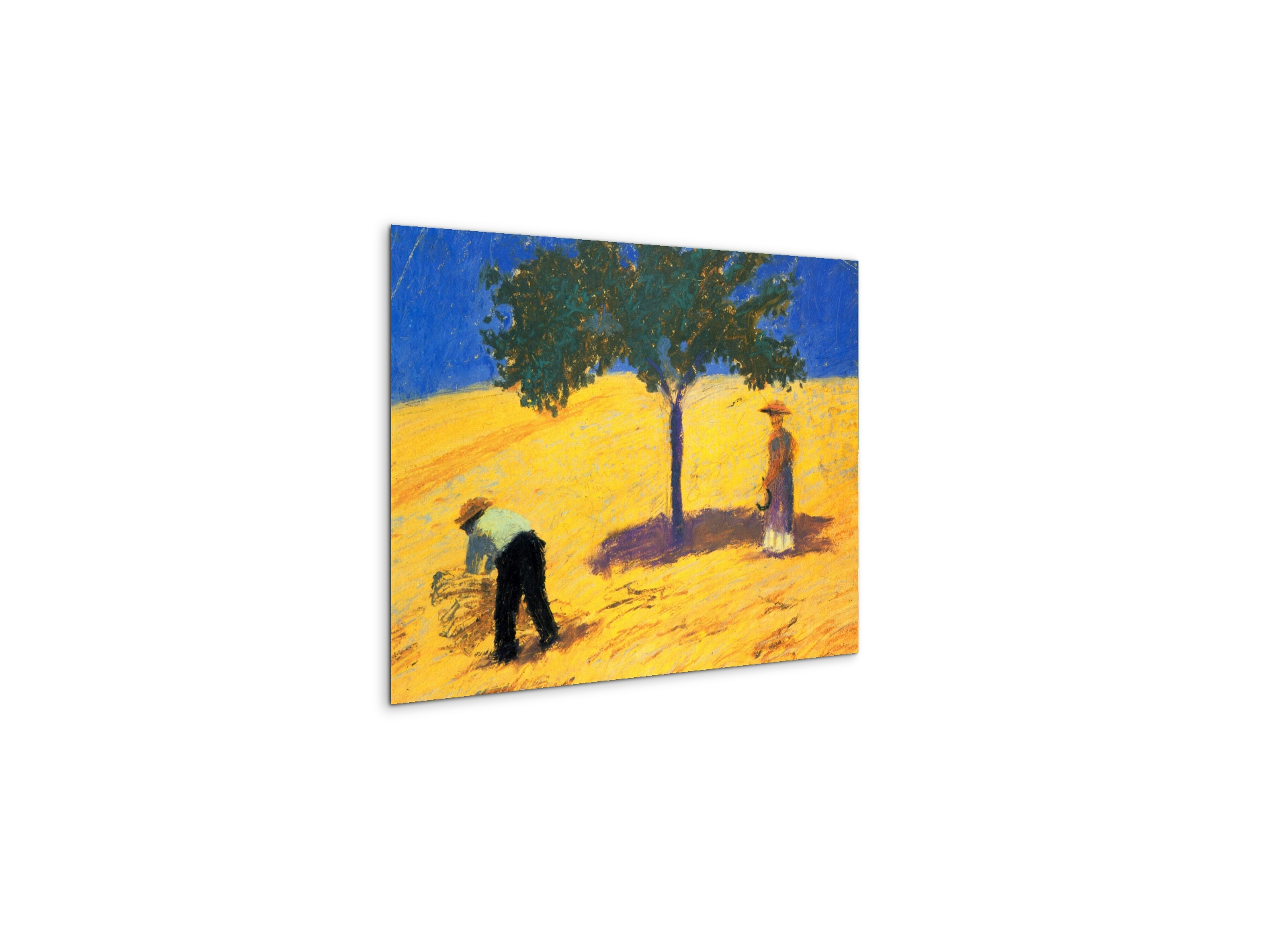 tree-in-cornfeld-as91423-