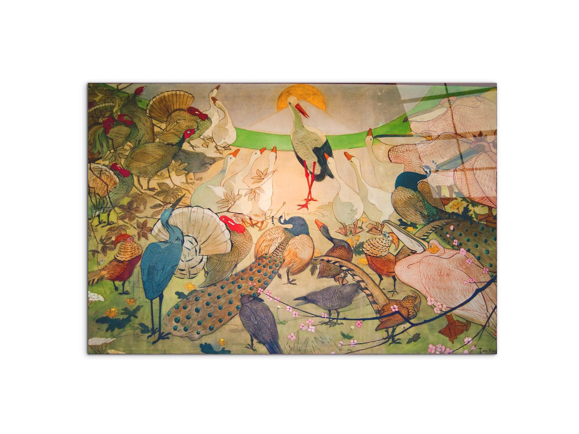 birdsas91579-