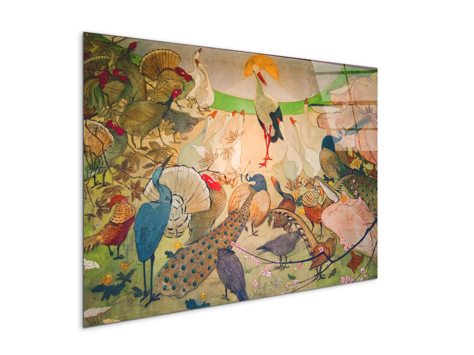 birdsas91579-