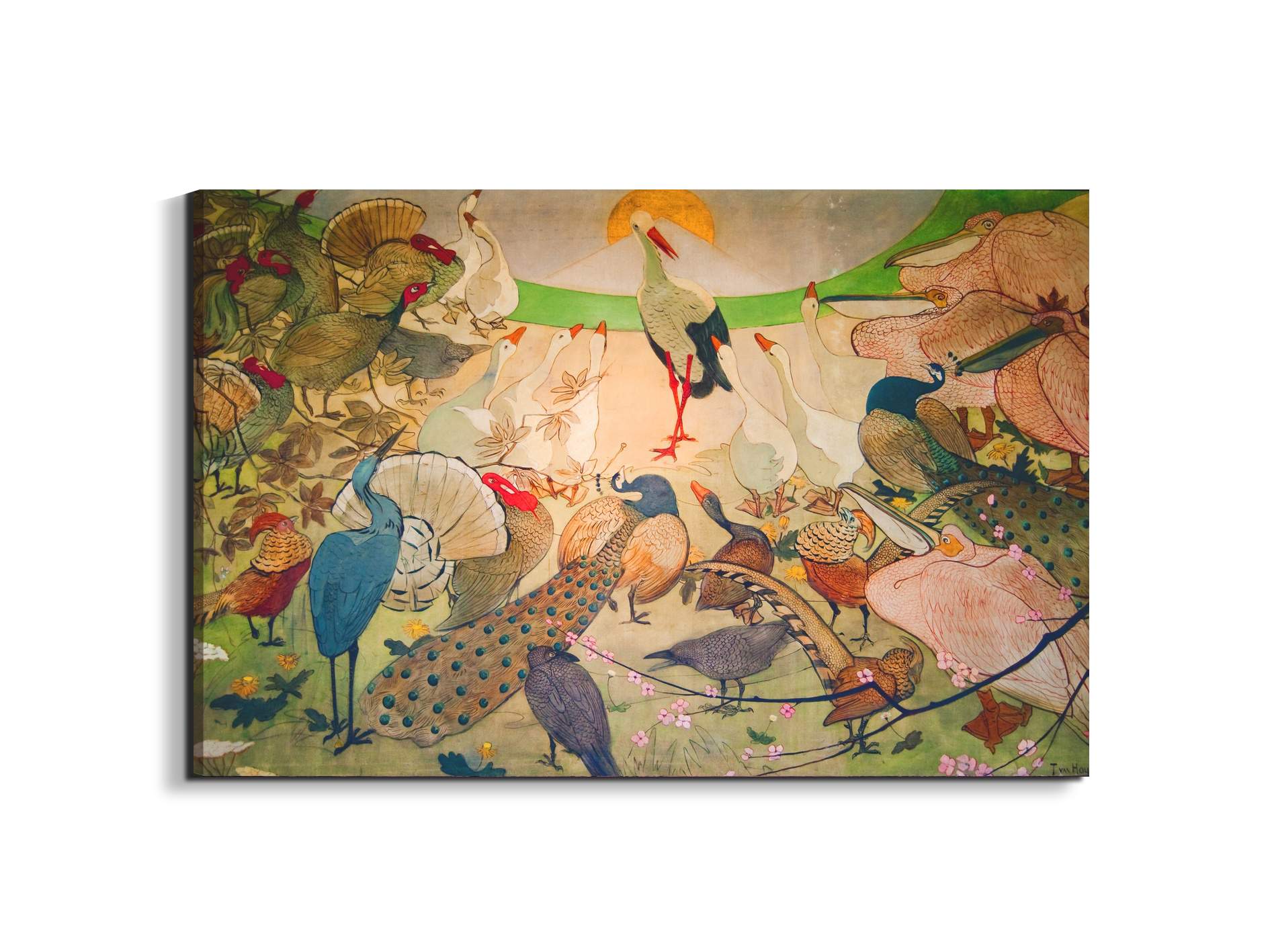 birdsas91579-