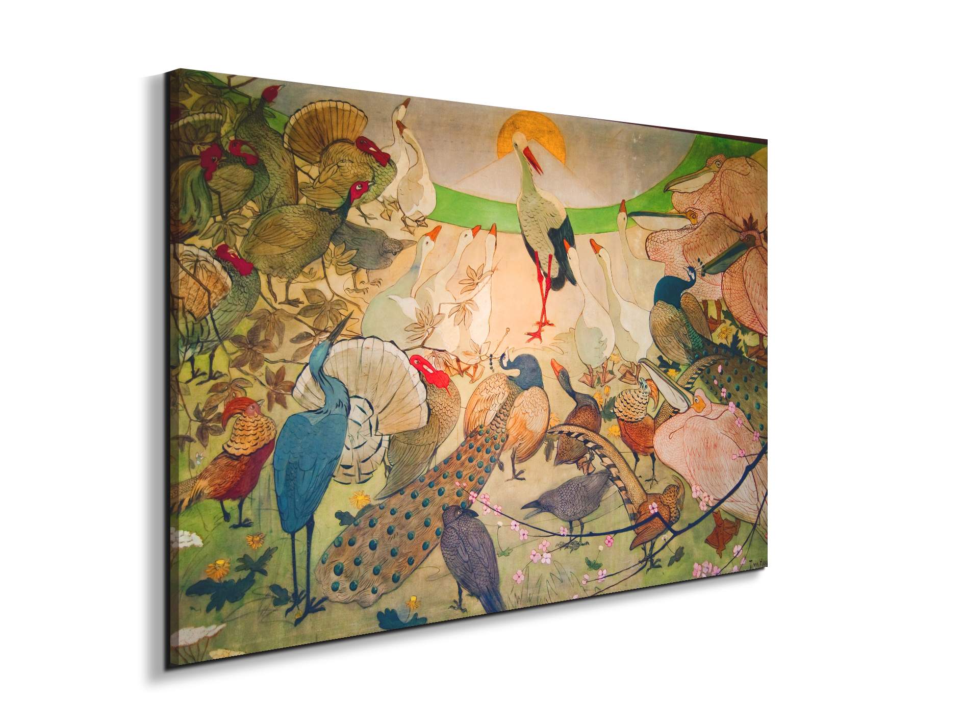 birdsas91579-
