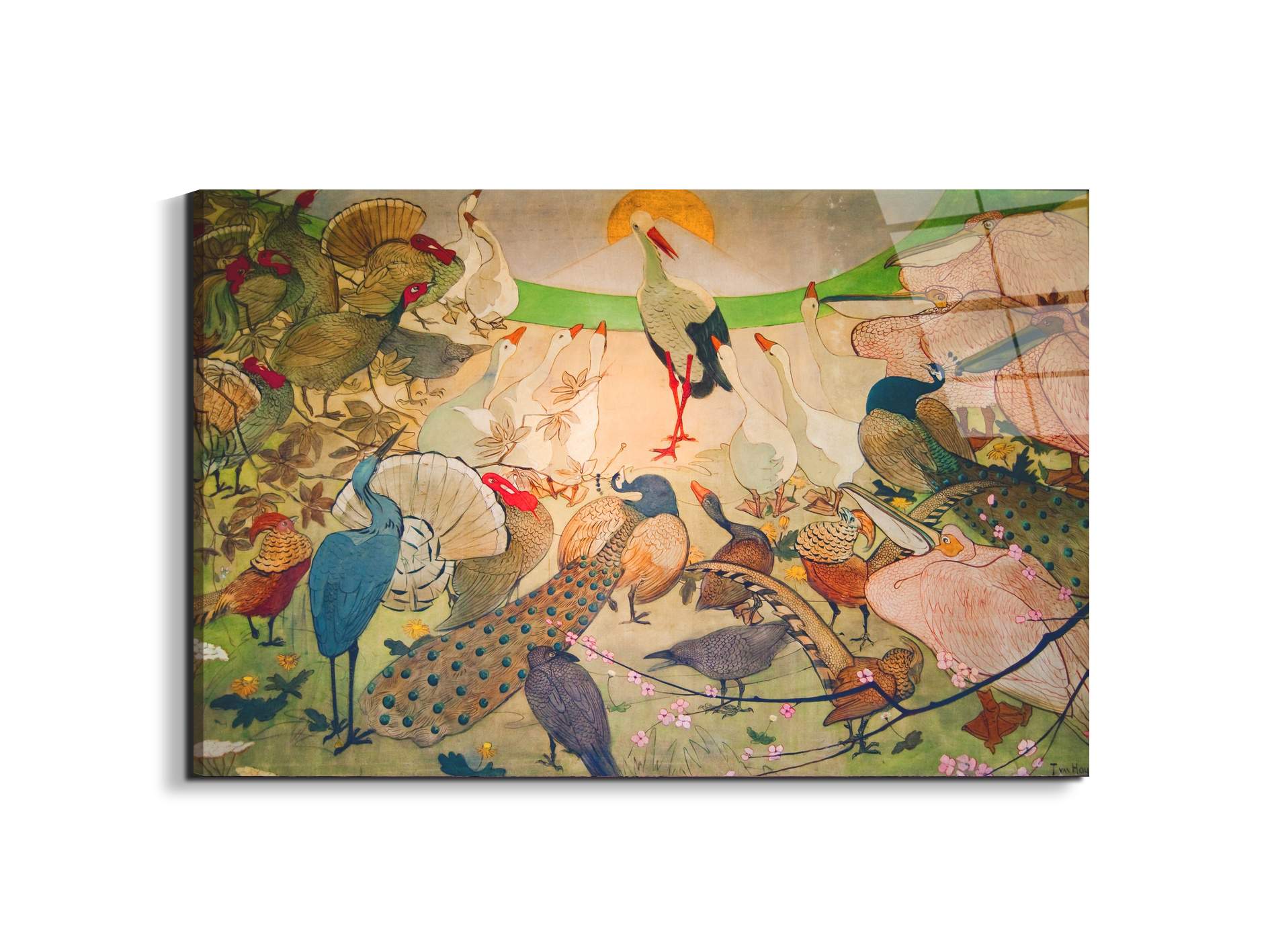 birdsas91579-