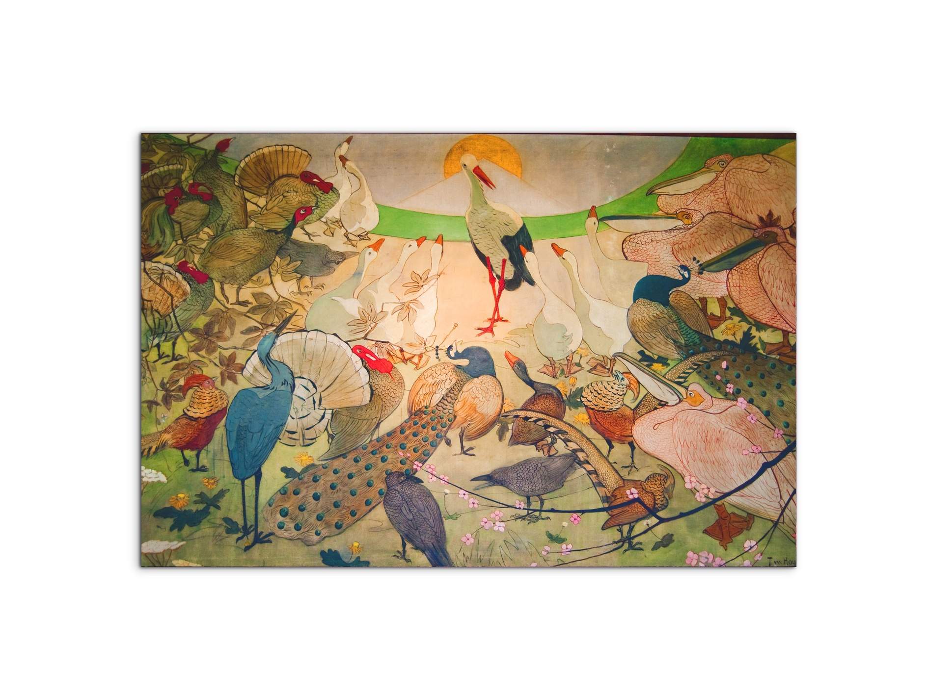 birdsas91579-