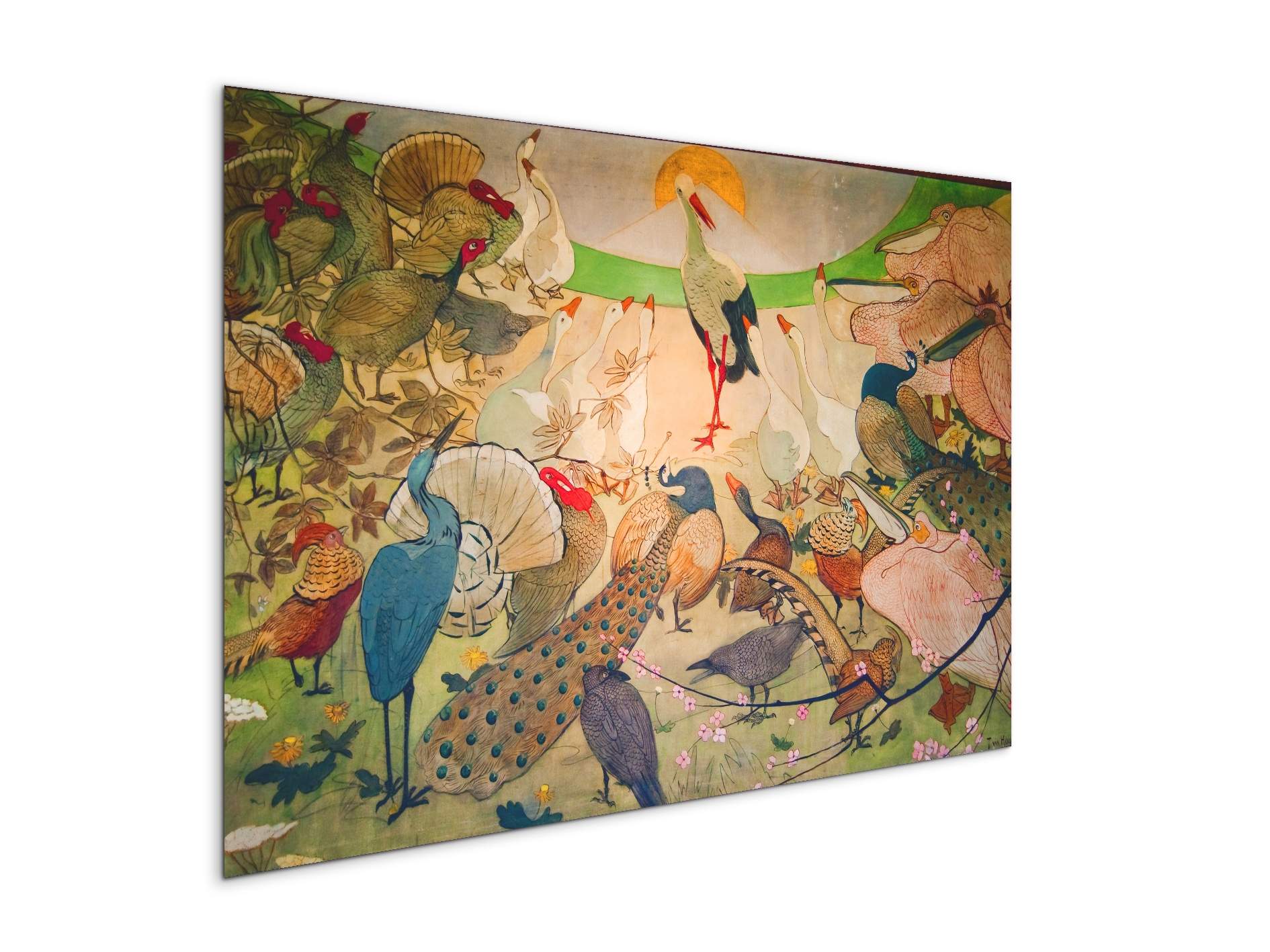 birdsas91579-